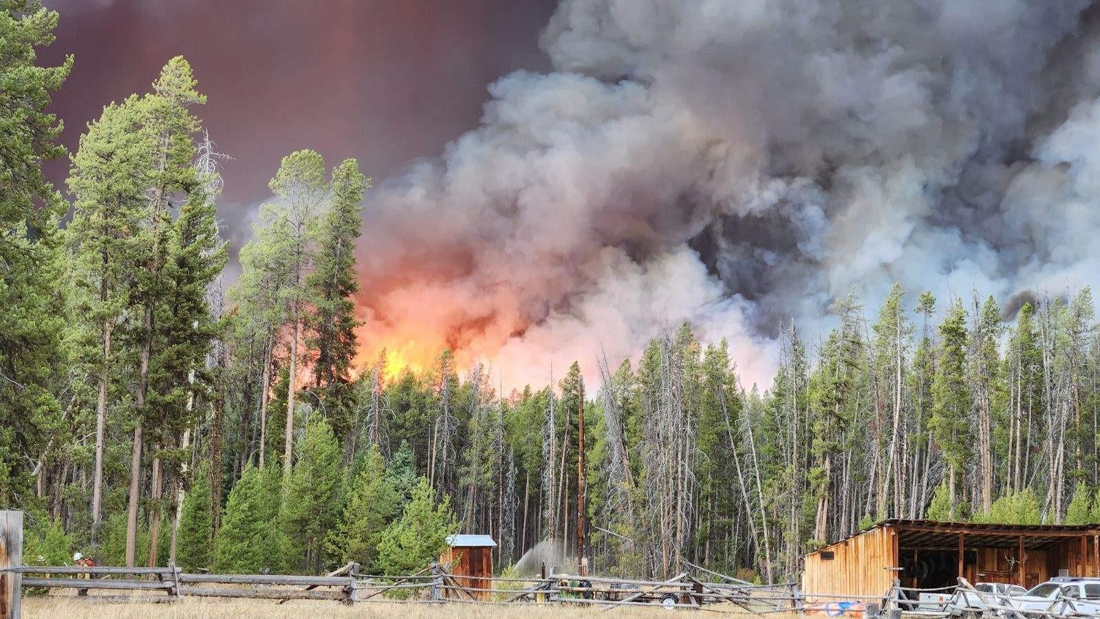 Photo shows the Logan Fire as a crowning fire in the distance.