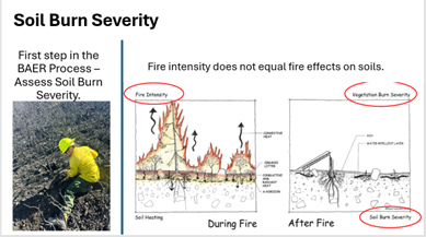 Image showing the differences for Fire Intensity vs. Soil Severity