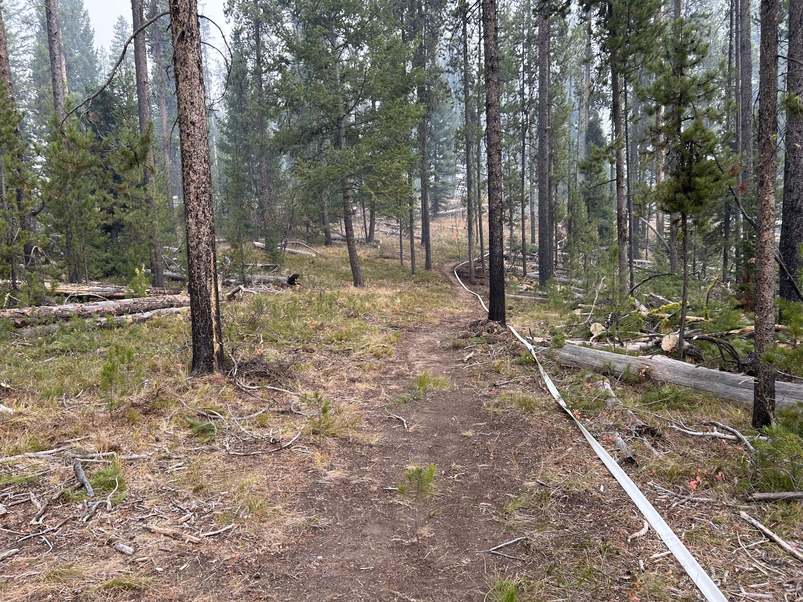 Fire line and hose lay on northeast side of Edwardsburg, October 11, 2024