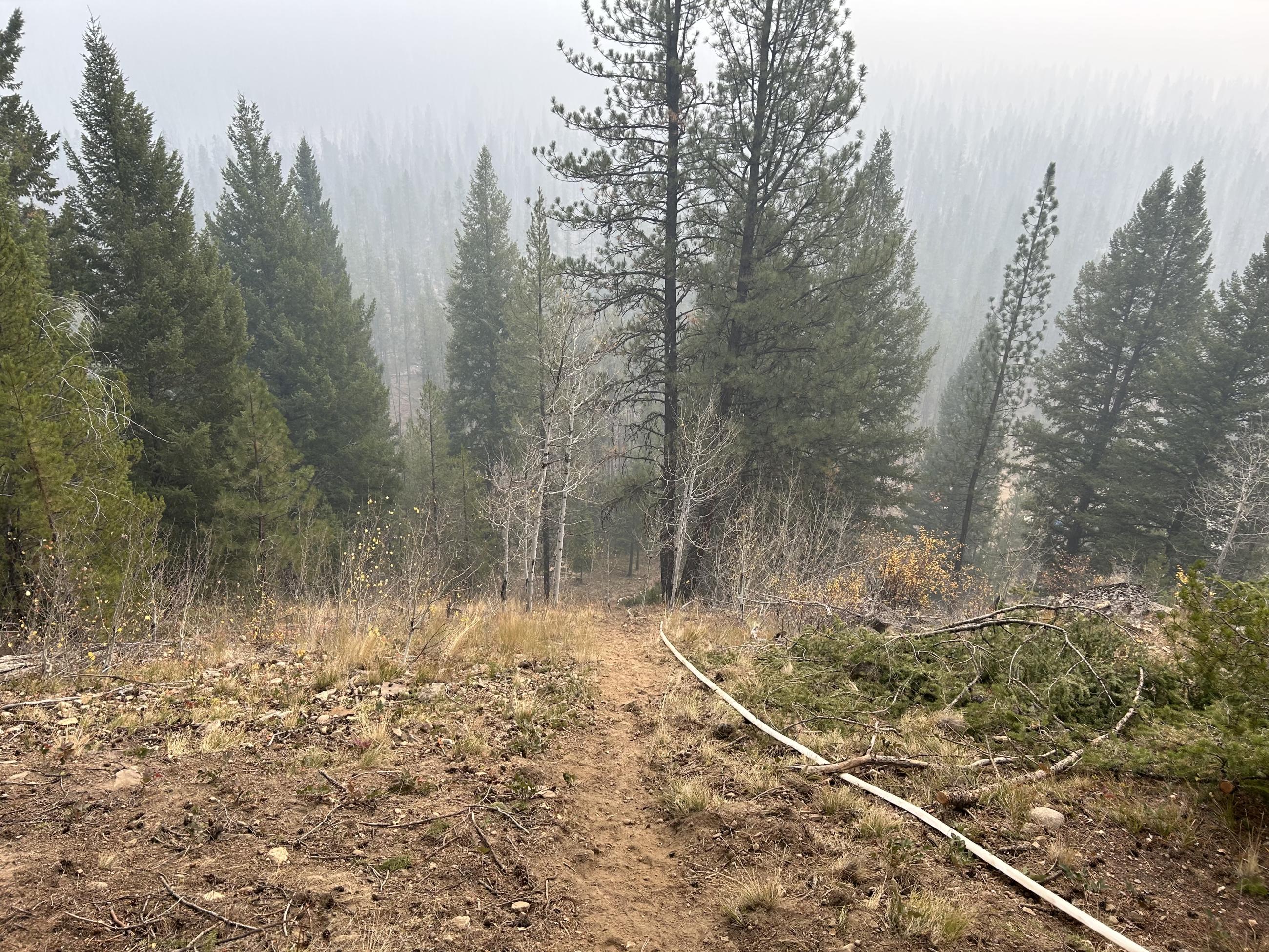 Fire line and hose lay on northeast side of Edwardsburg, October 11, 2024