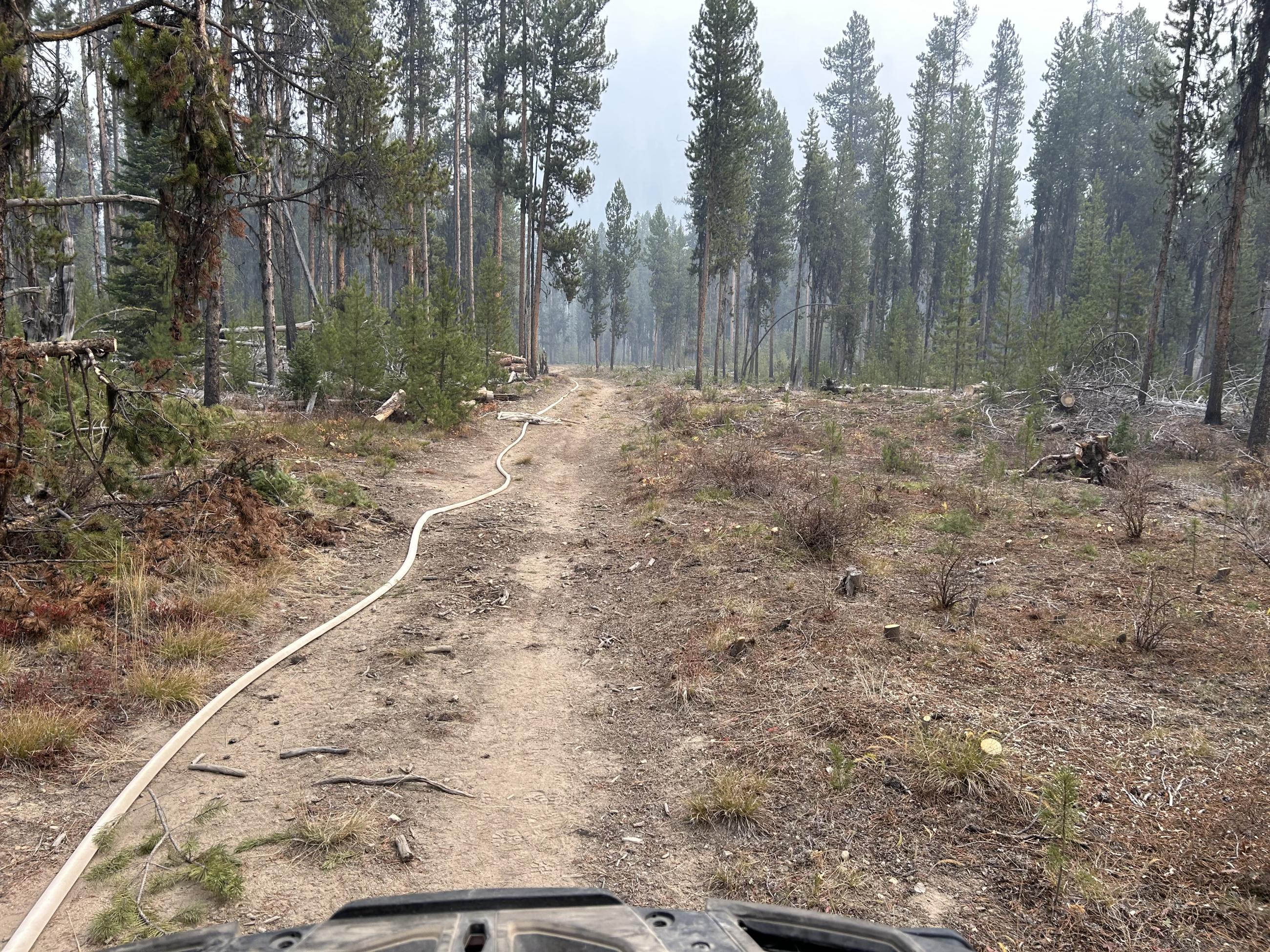 Fire line and hose lay on the east/northeast side of Edwardsburg, October 11, 2024