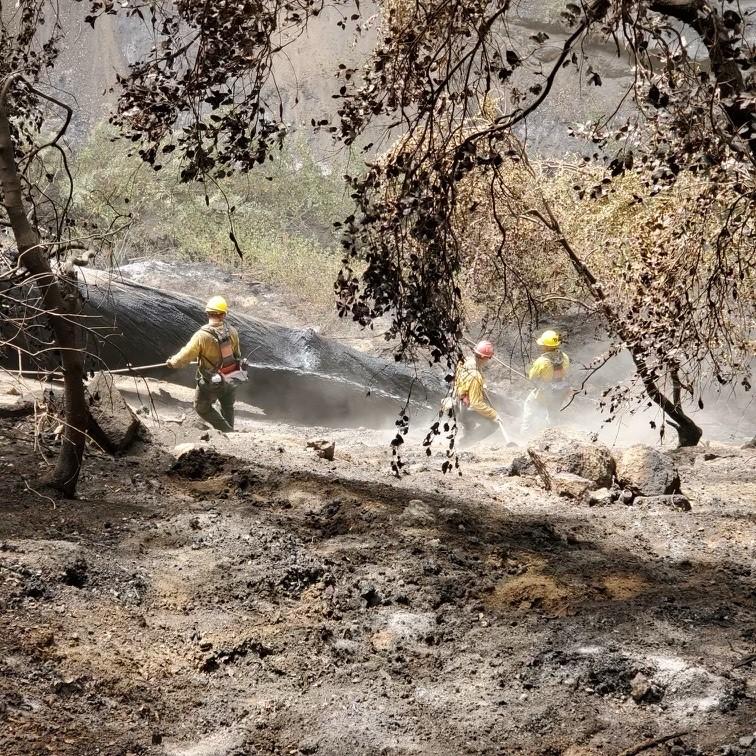 Image showing Firefighters digging in the dirt to find remanent hot spots.