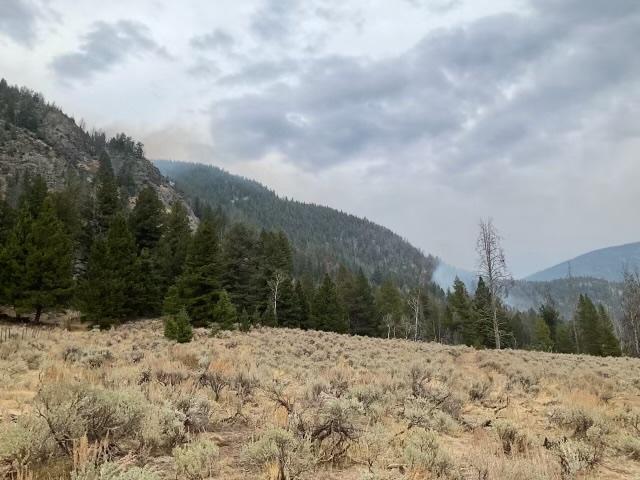 Forested landscape with small amounts of smoke present from a wildfire.