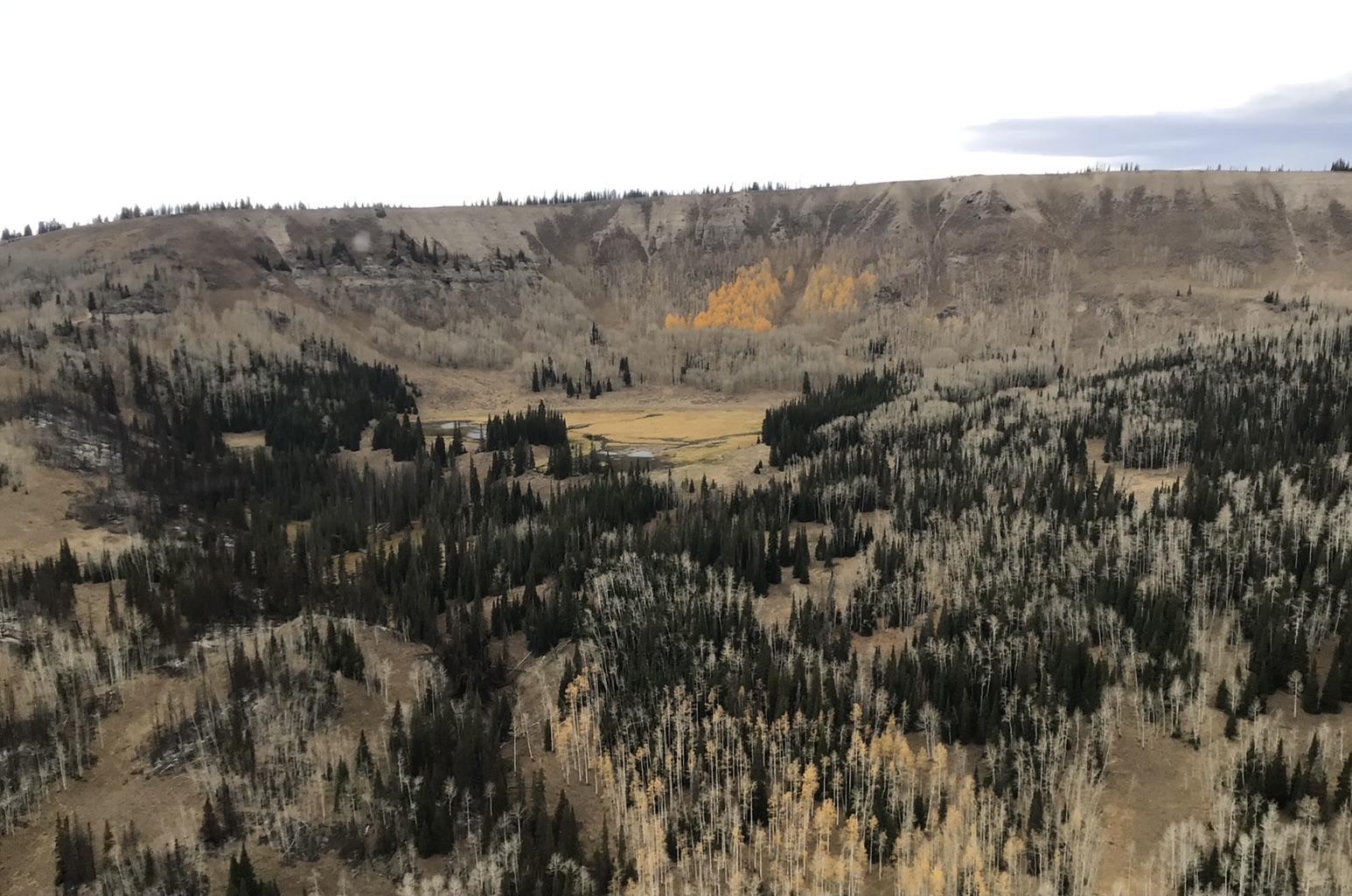 Expansive view of high mountain valley with pine trees dotting the landscape.