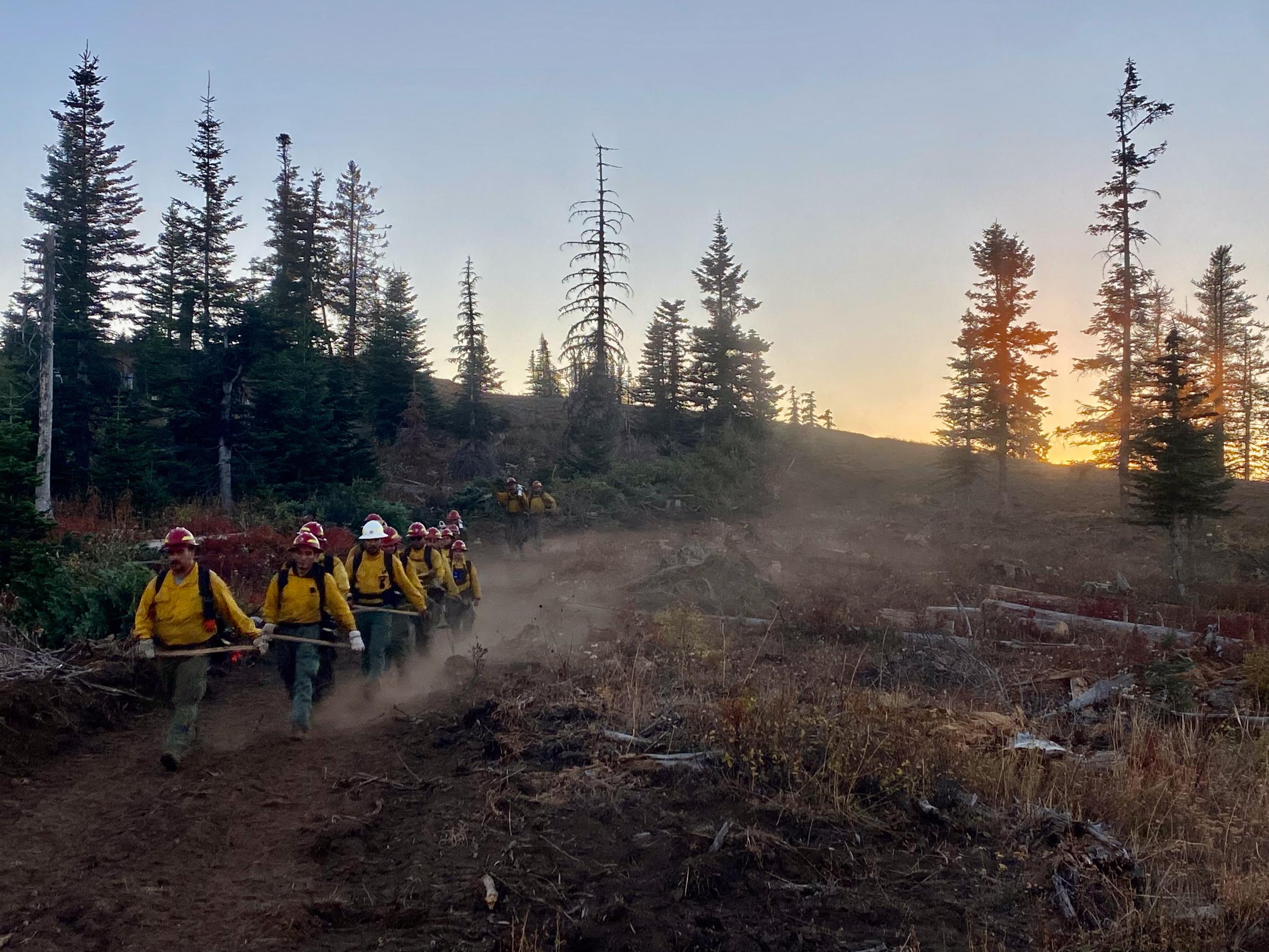 Group of firefighters walk through a smoky field carrying tools