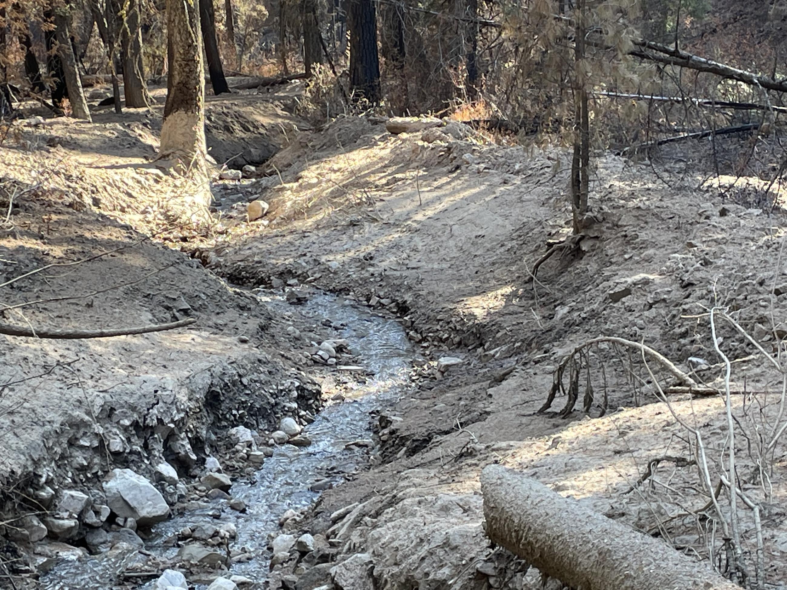 Debris flow in the Big Meadows area