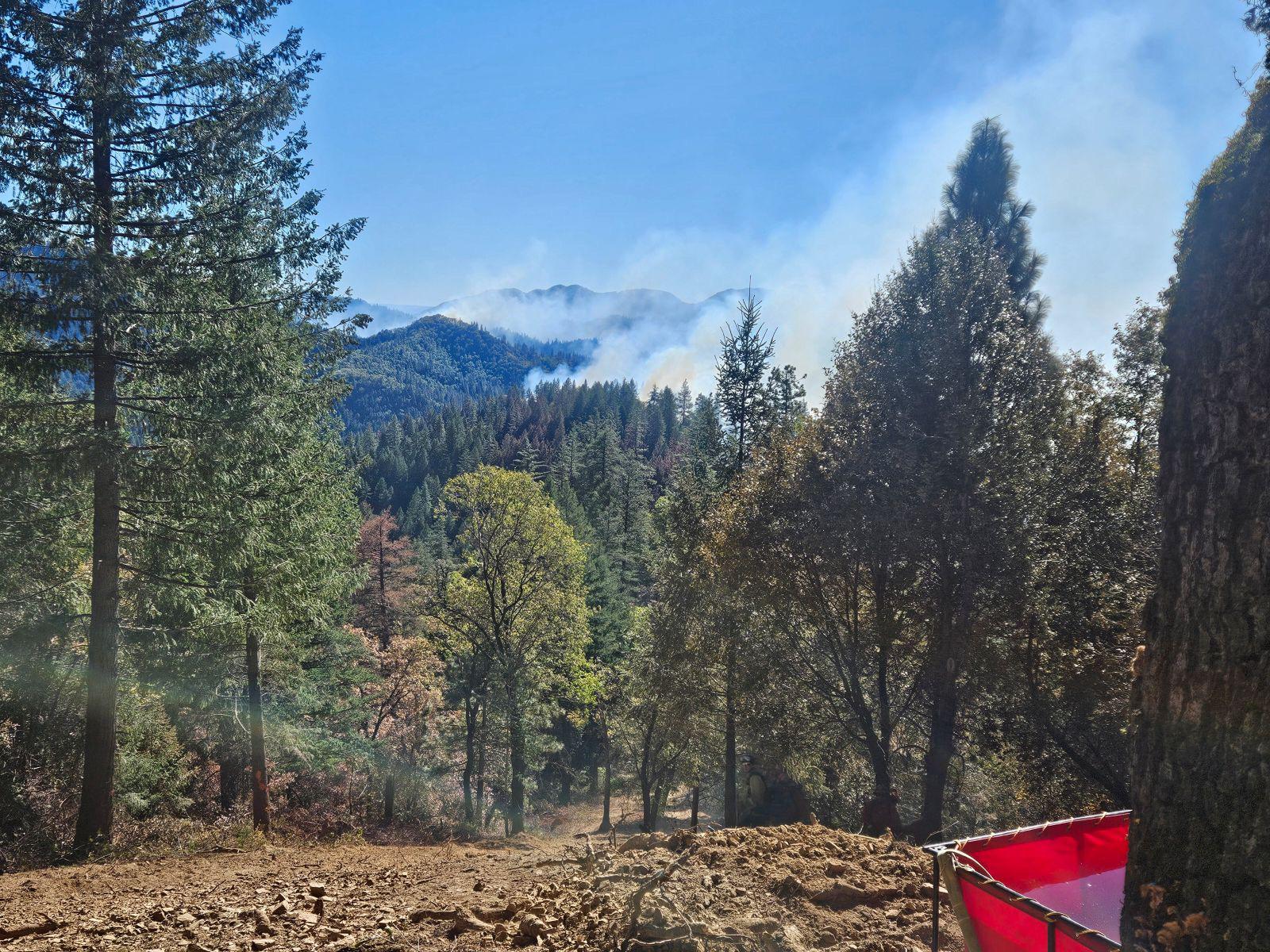 Image of Smoke Rising in the distance above trees.