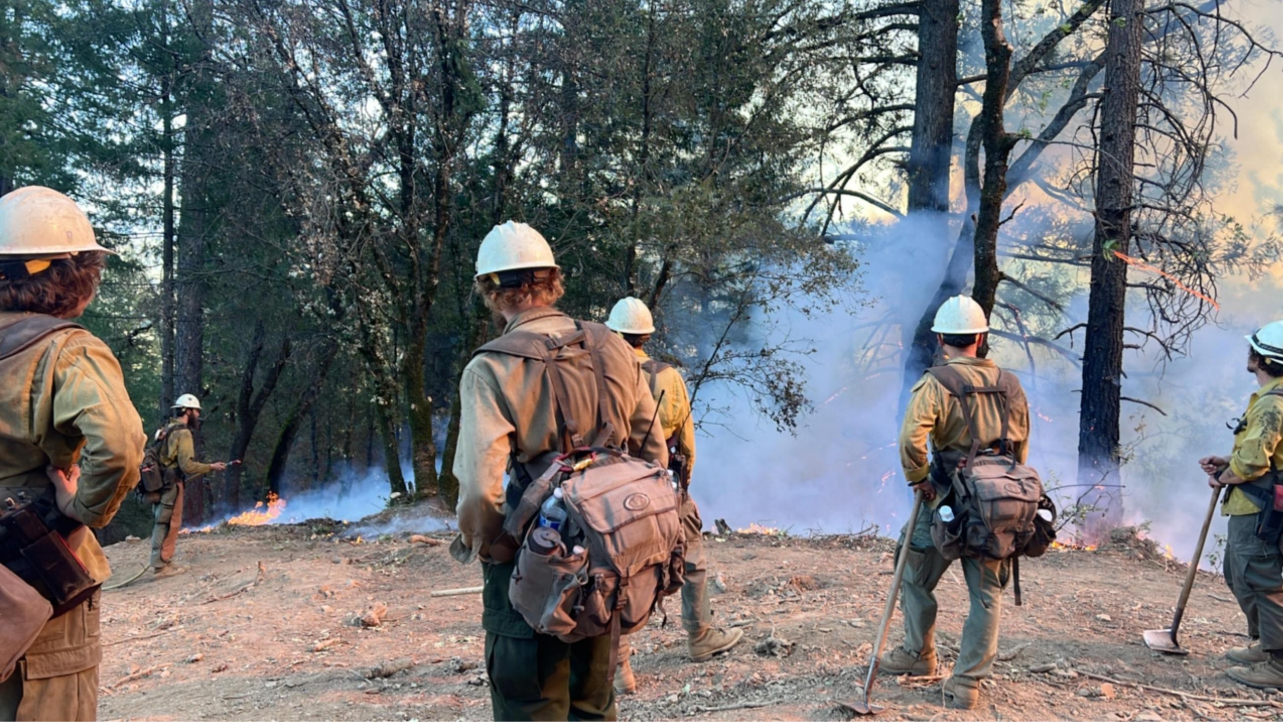 Firefighters conduct burning operations on the Shoe Fire.