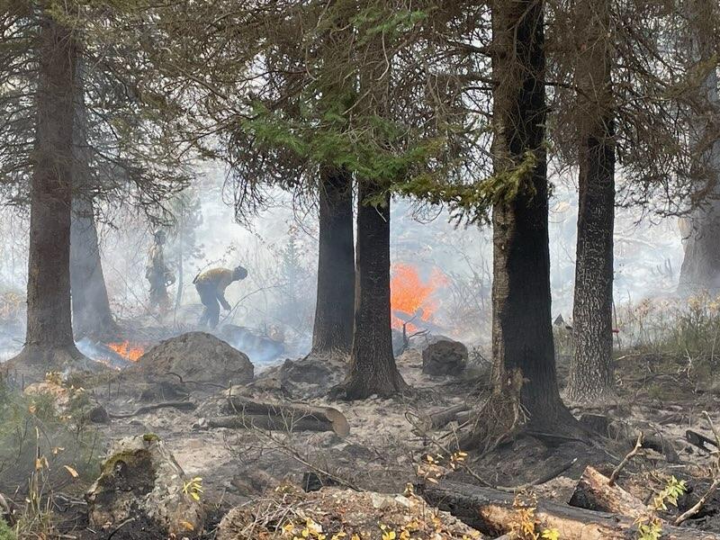 Firefighting resources working on the Logan Fire