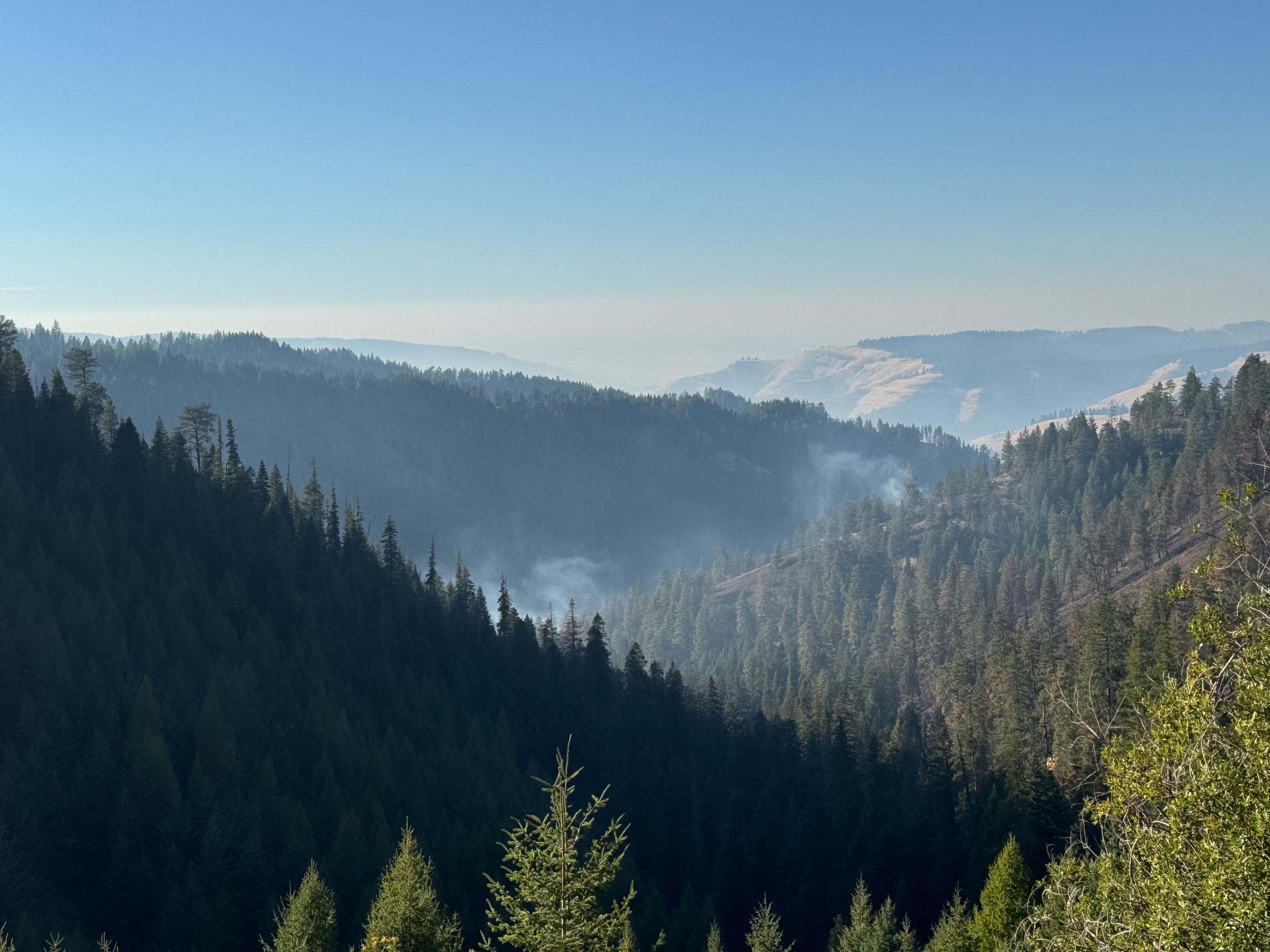 smoke rises from forested valley