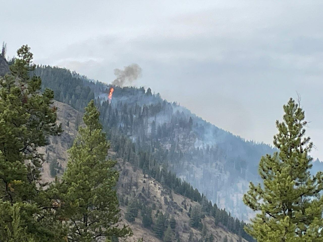 Tree torching on the Logan Fire