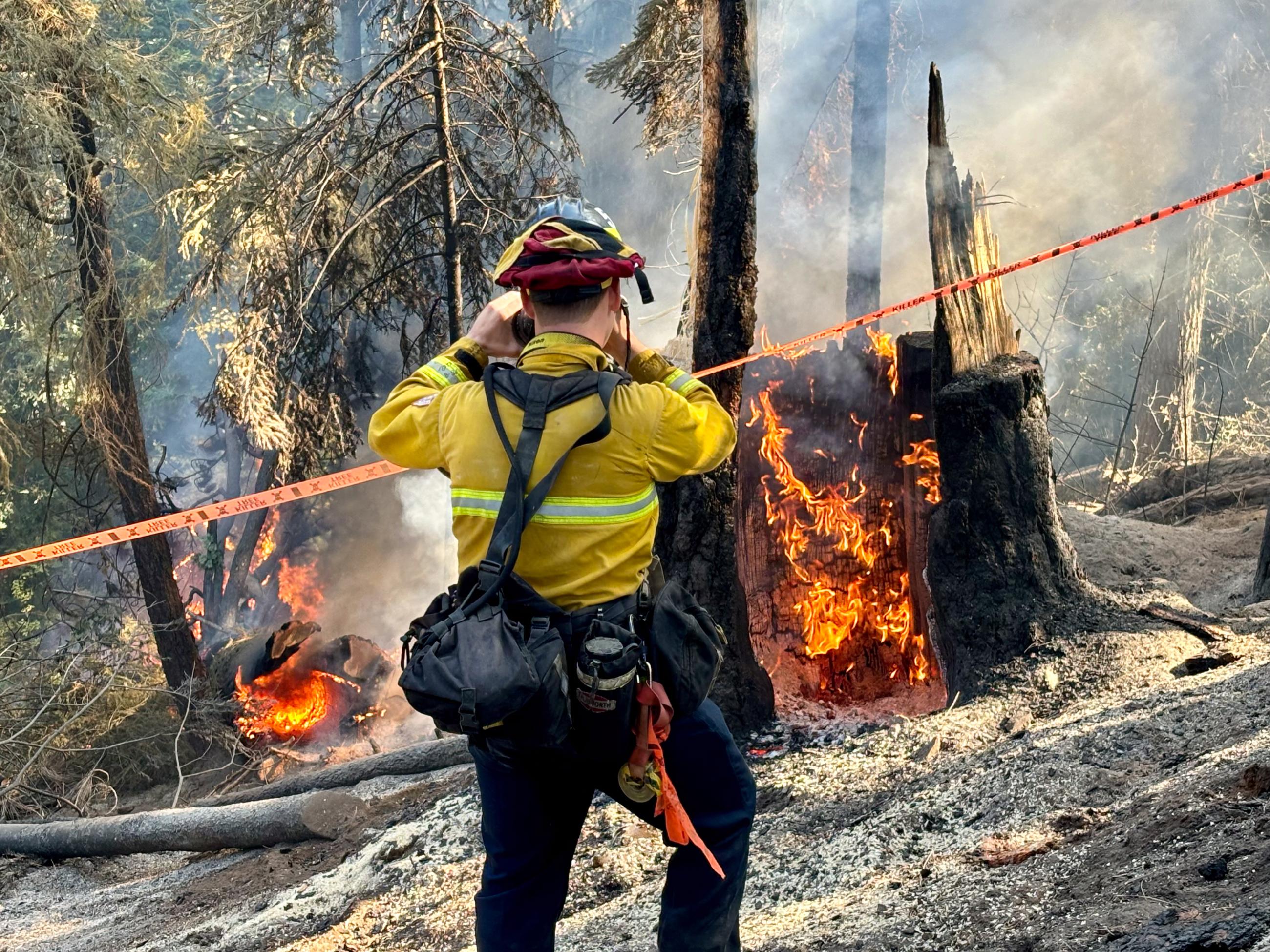 Firefighter taking photo of burning tree stump