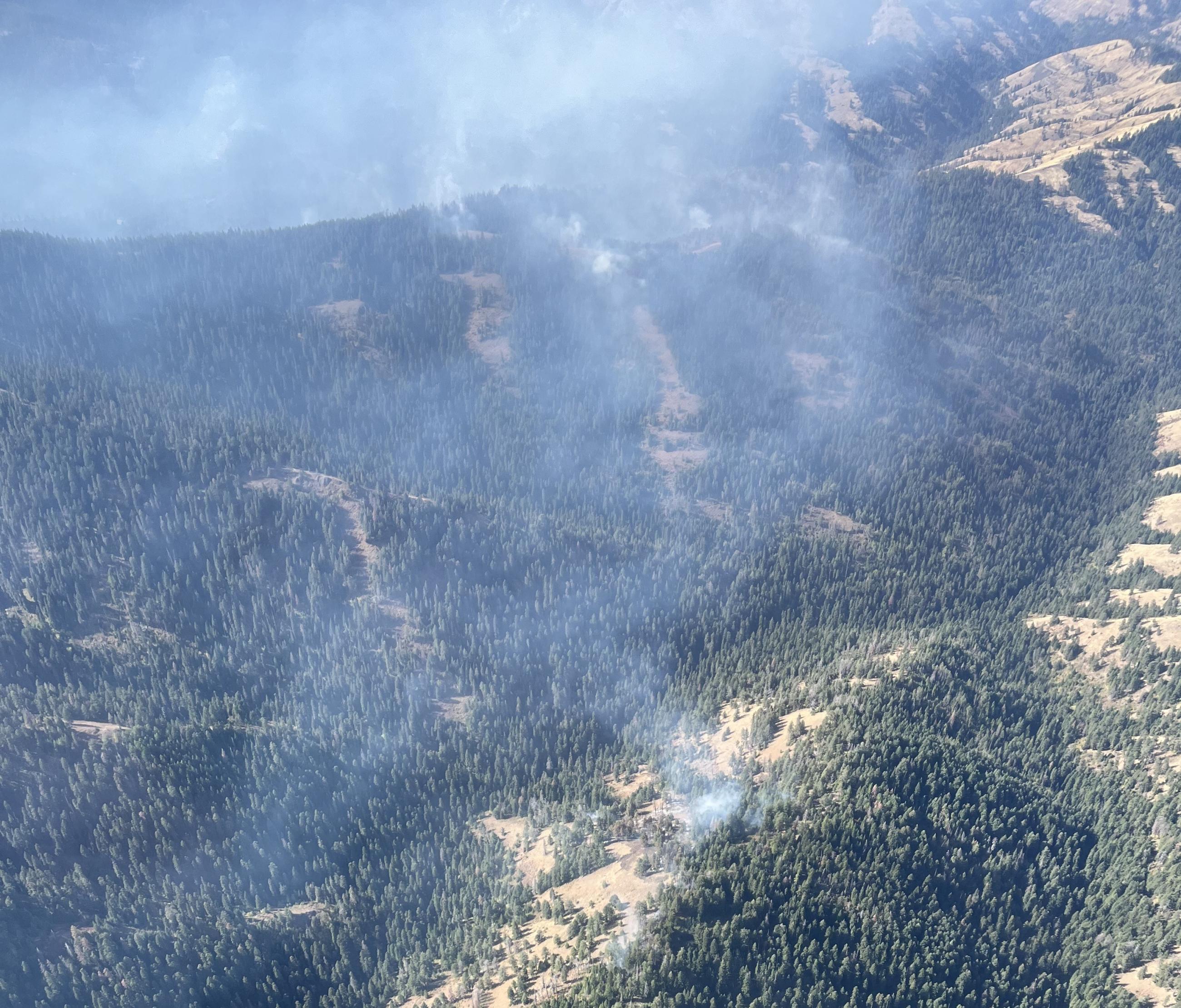 Aerial view of smoke rising from forested landscape