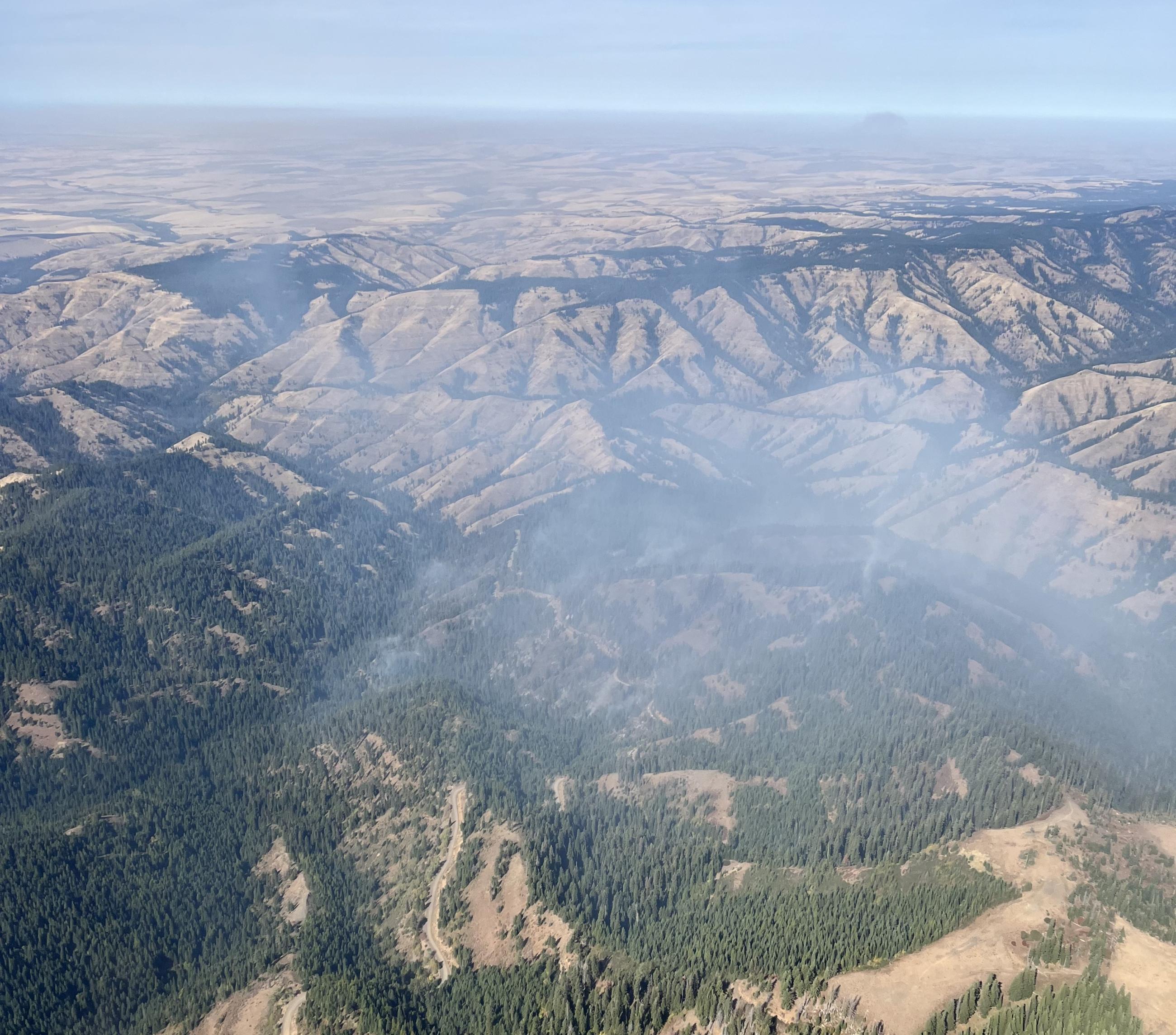 Aerial view of smoke rising from forested landscape