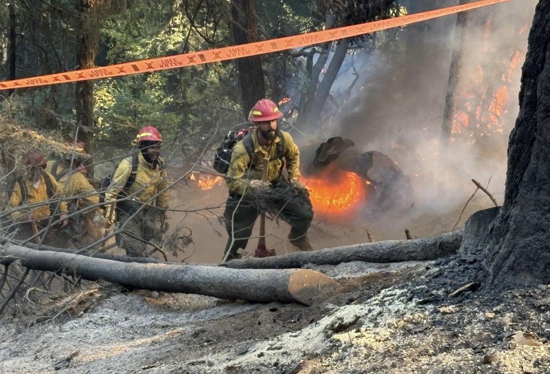 Firefighters walk around burning tree stump with fire in background