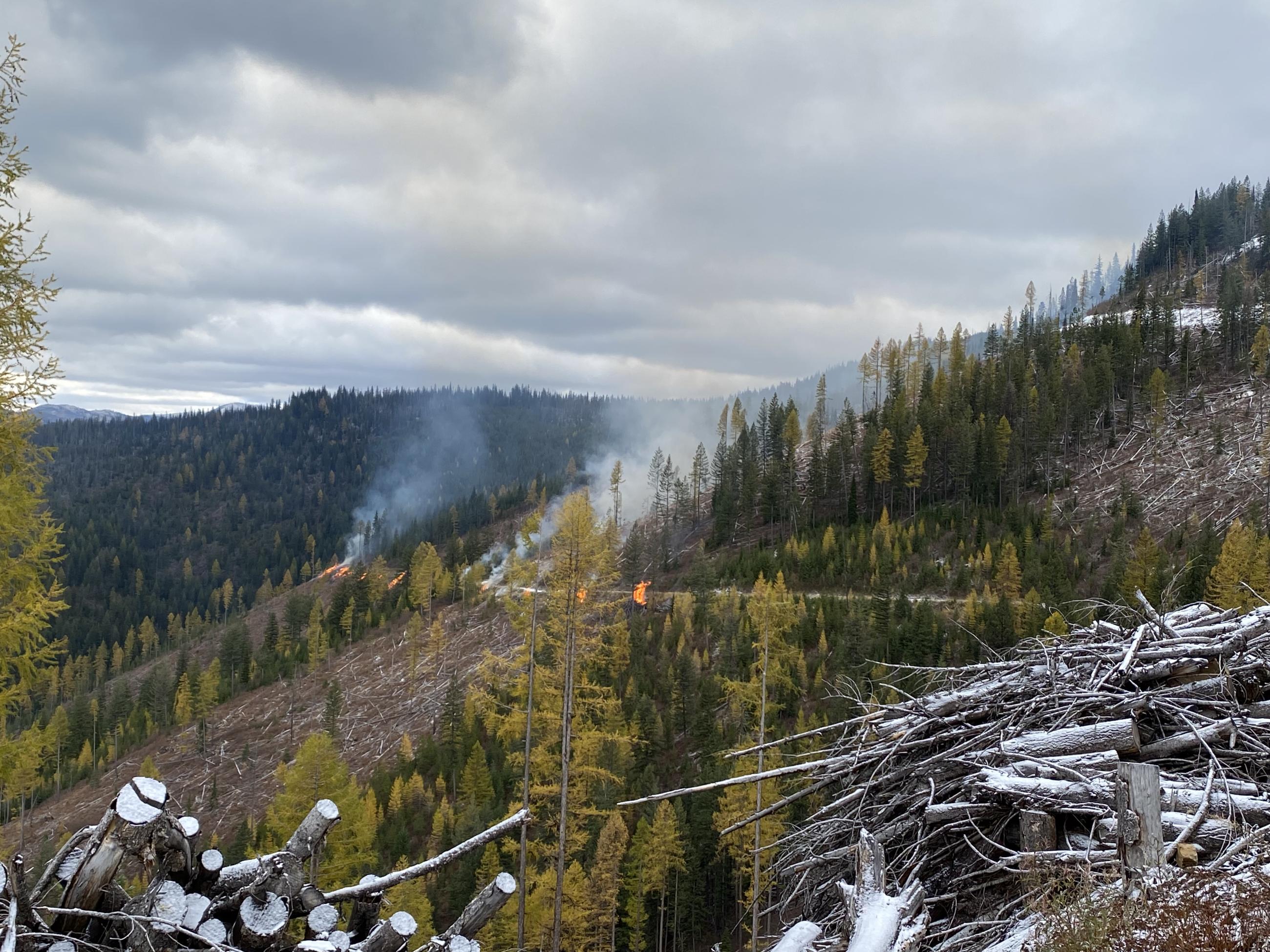 Hall Wood Pile Burn 