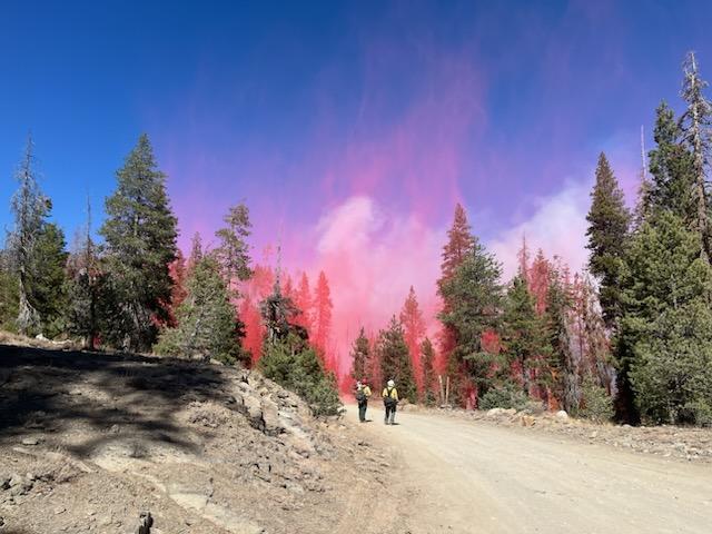 Two firefighters walking down a dirt road. Trees are on either side of the road with red fire retardant hanging in the air. 