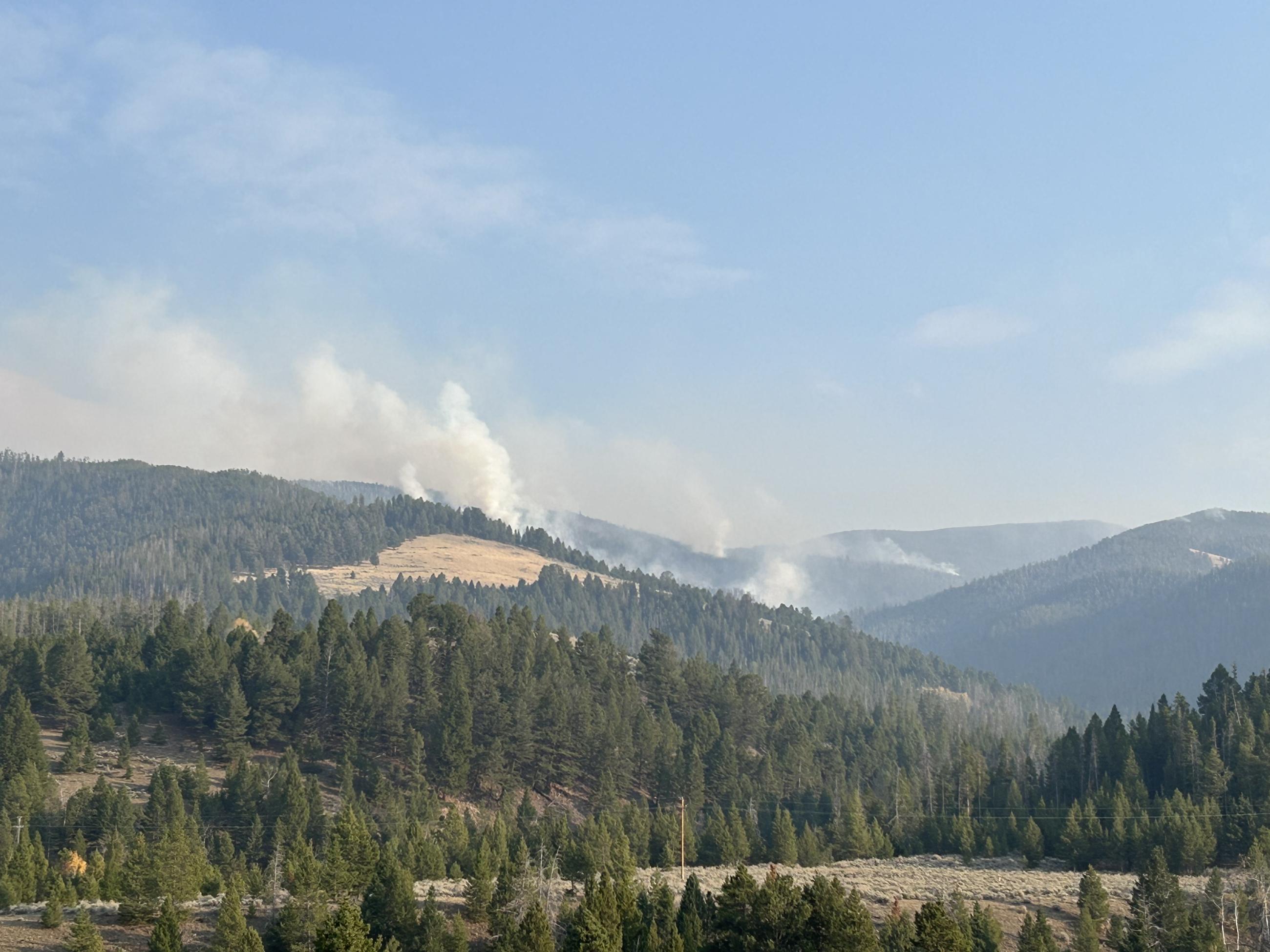 Picture of Smoke and green trees