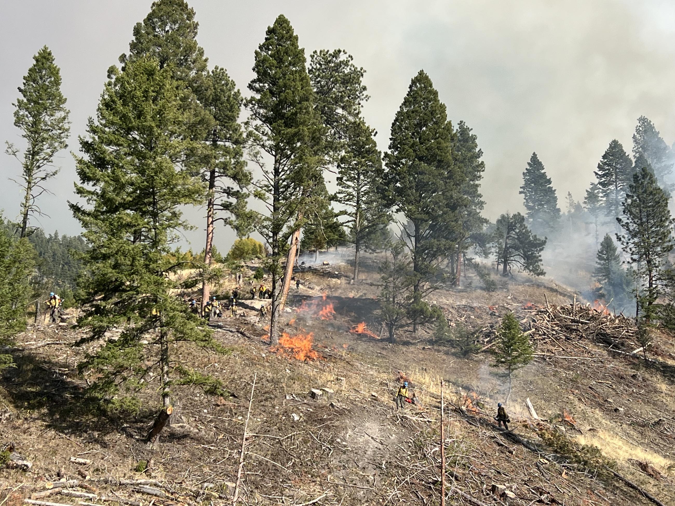 Crews firing on the daly fire 