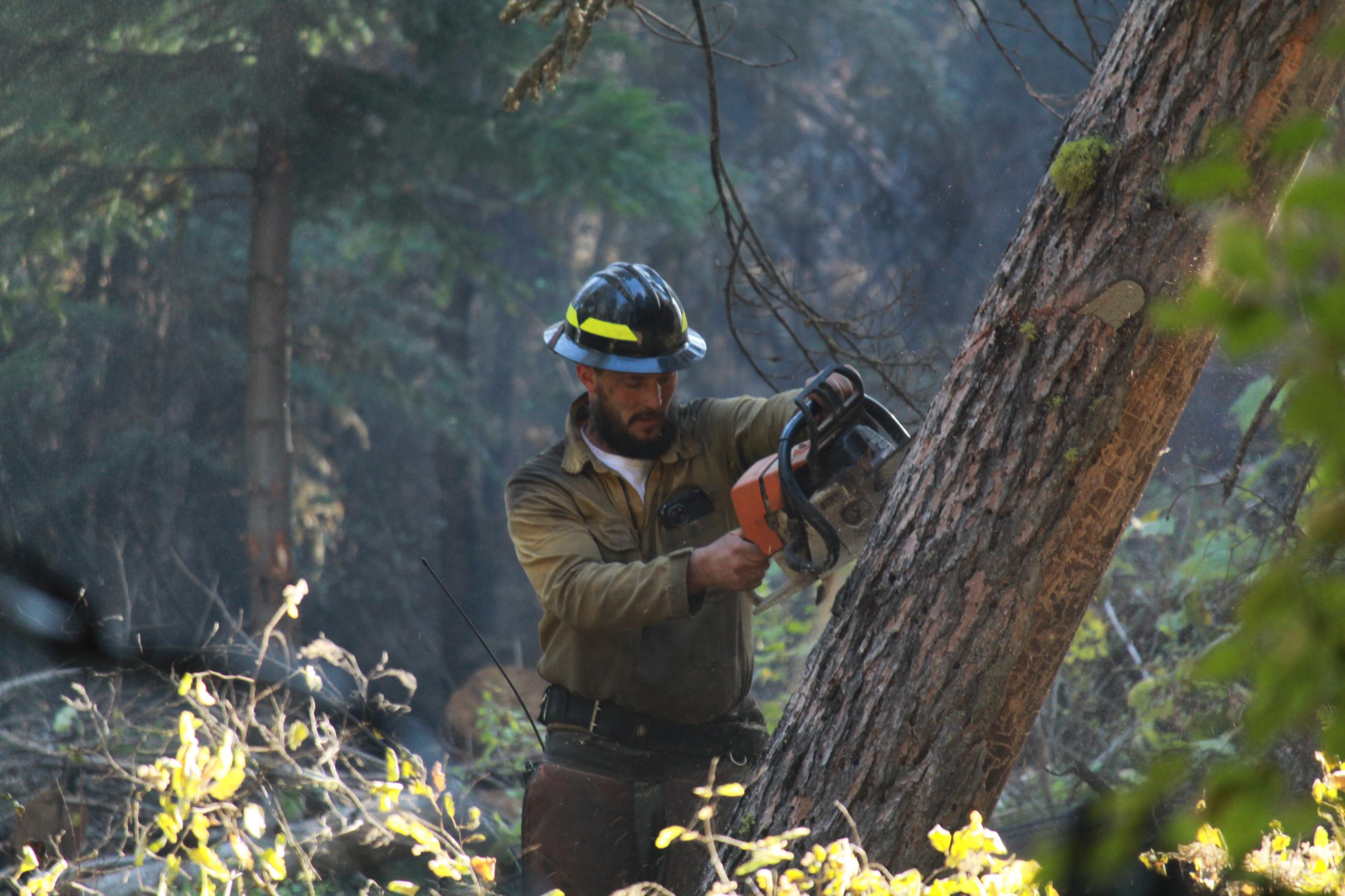 Firefighters uses chainsaw to cut into tree