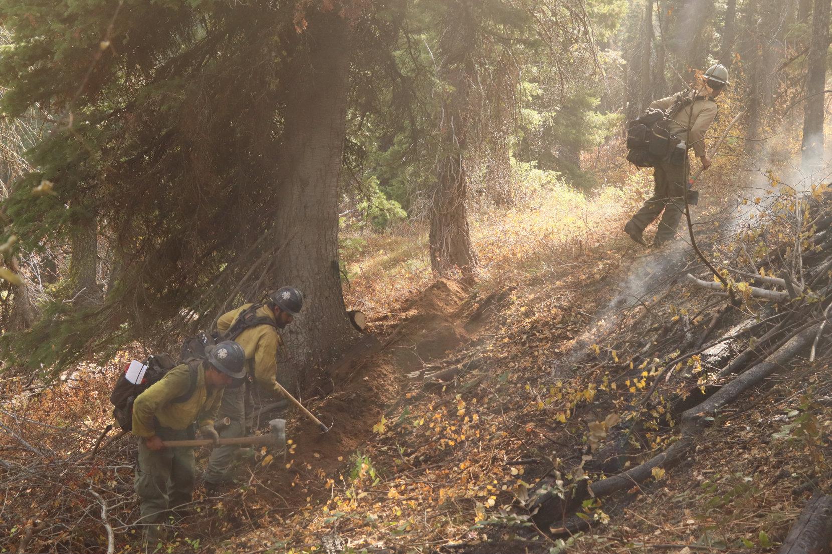 Firefighters Dig Trench with Hand Tools