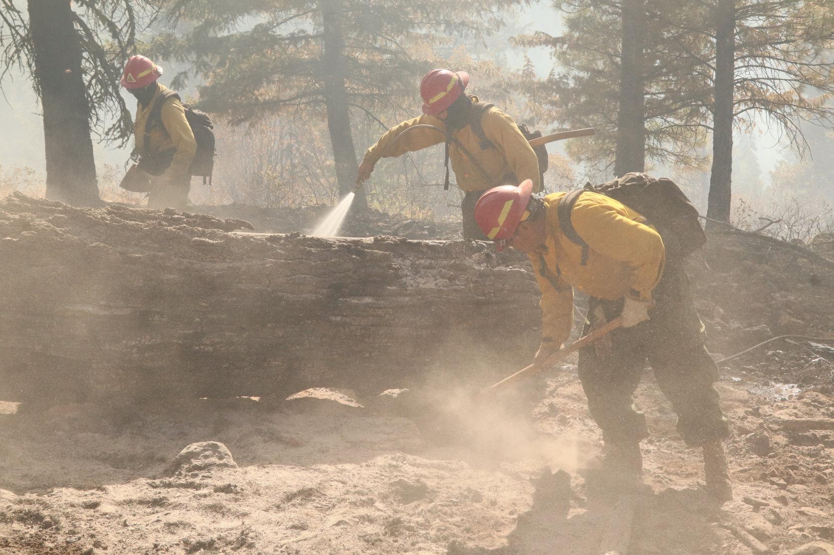 Firefighters Spray and Dig Up Hot Spots (Mop-Up)