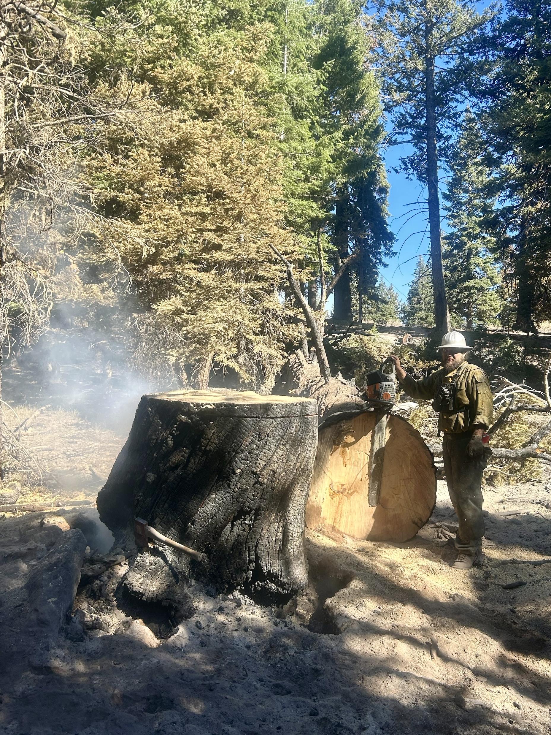 Hazard Tree Mitigation by Professional Fallers Rail Ridge Fire