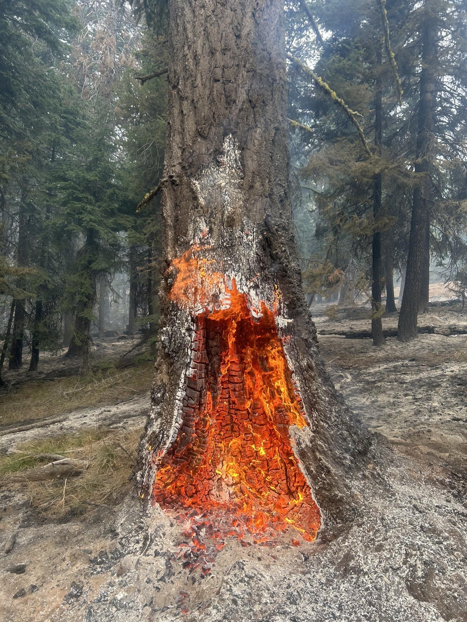 Stump Burning Rail Ridge Fire by EMT Johnny Braden