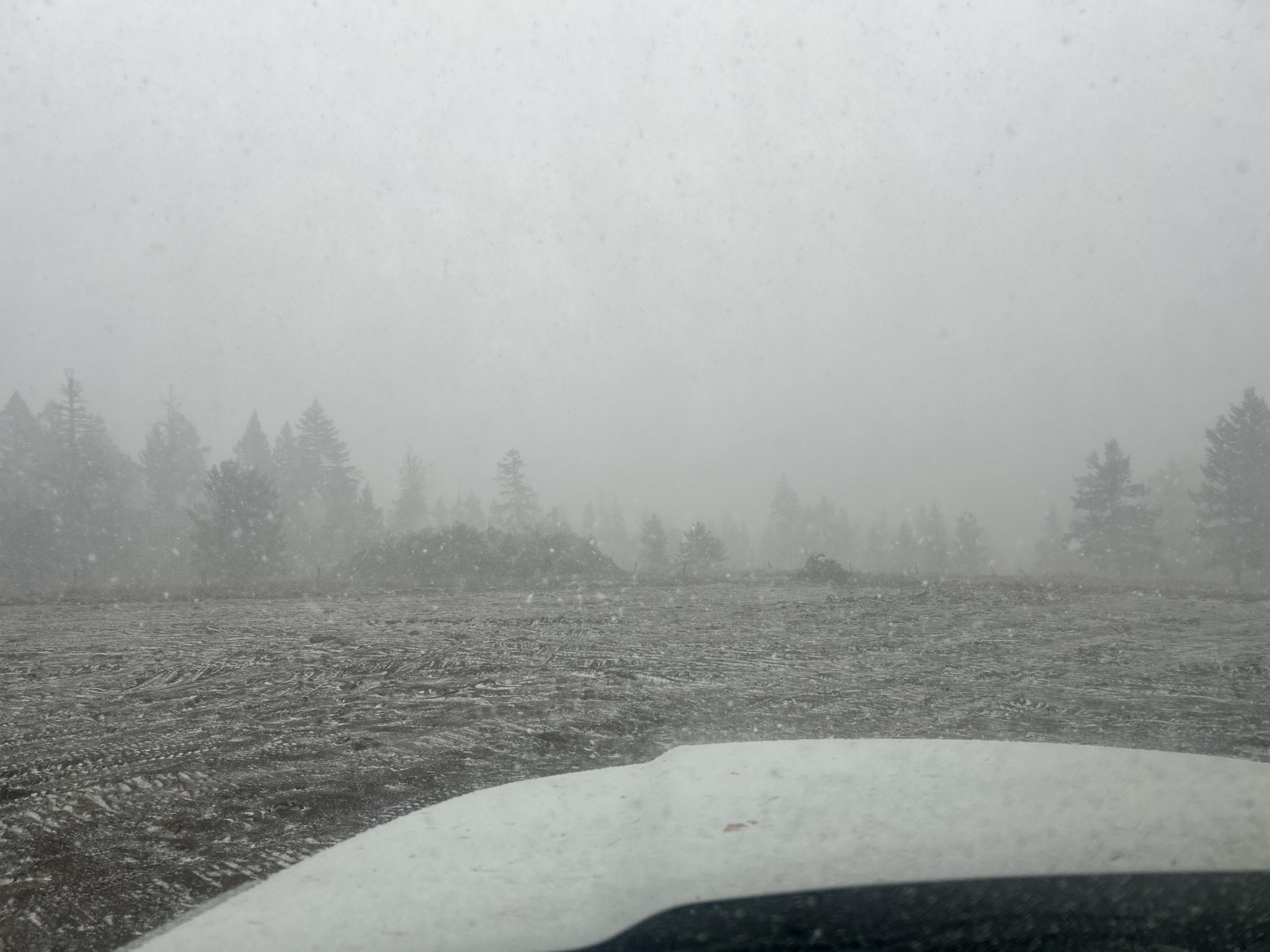 A photo from behind the wheel shows snow on the vehicle and road.