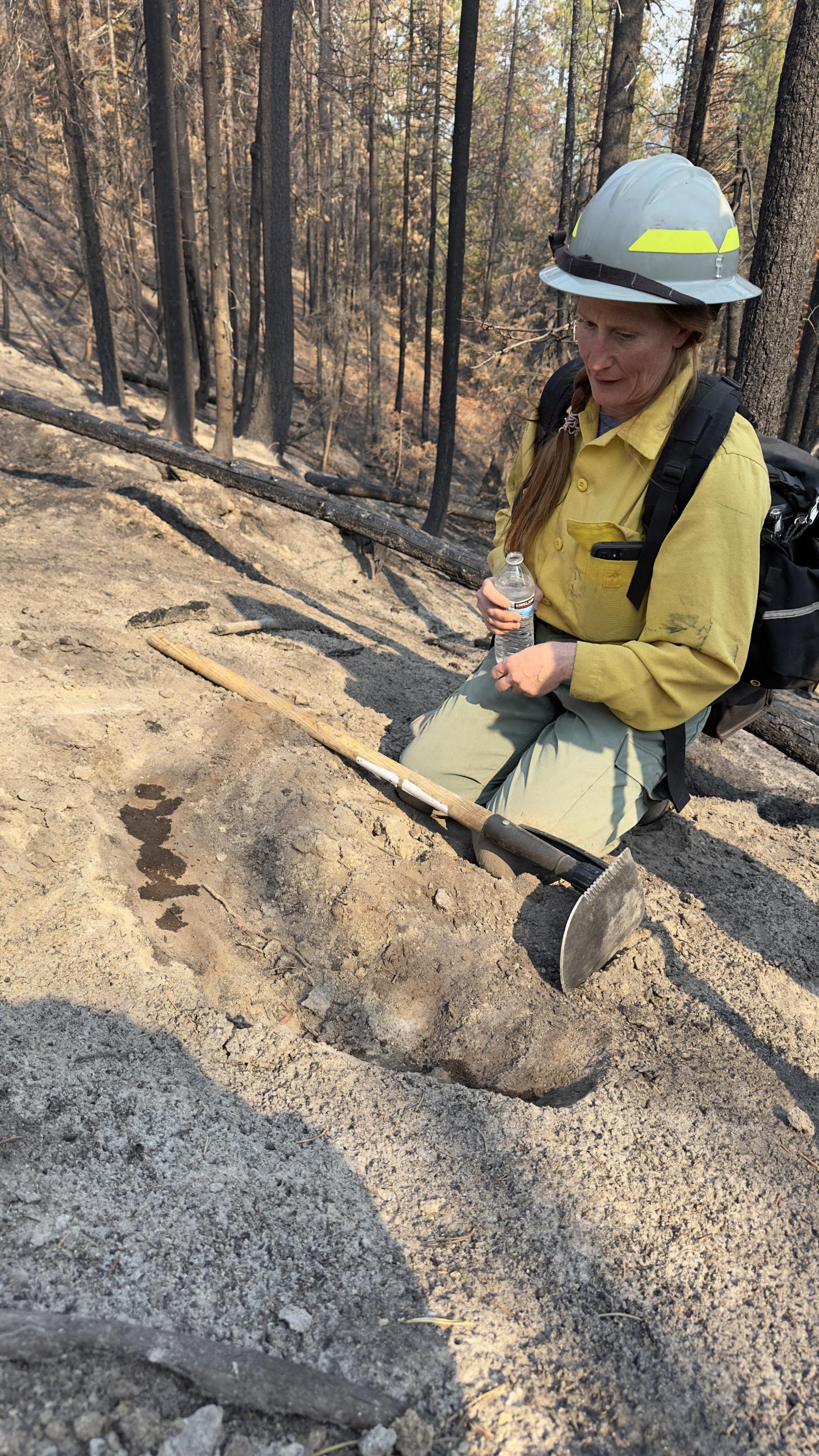 Image Showing BAER Specialist Jesse Merrifield Assessing Soil Burn Severity within the Snag-Dollar Burn Area