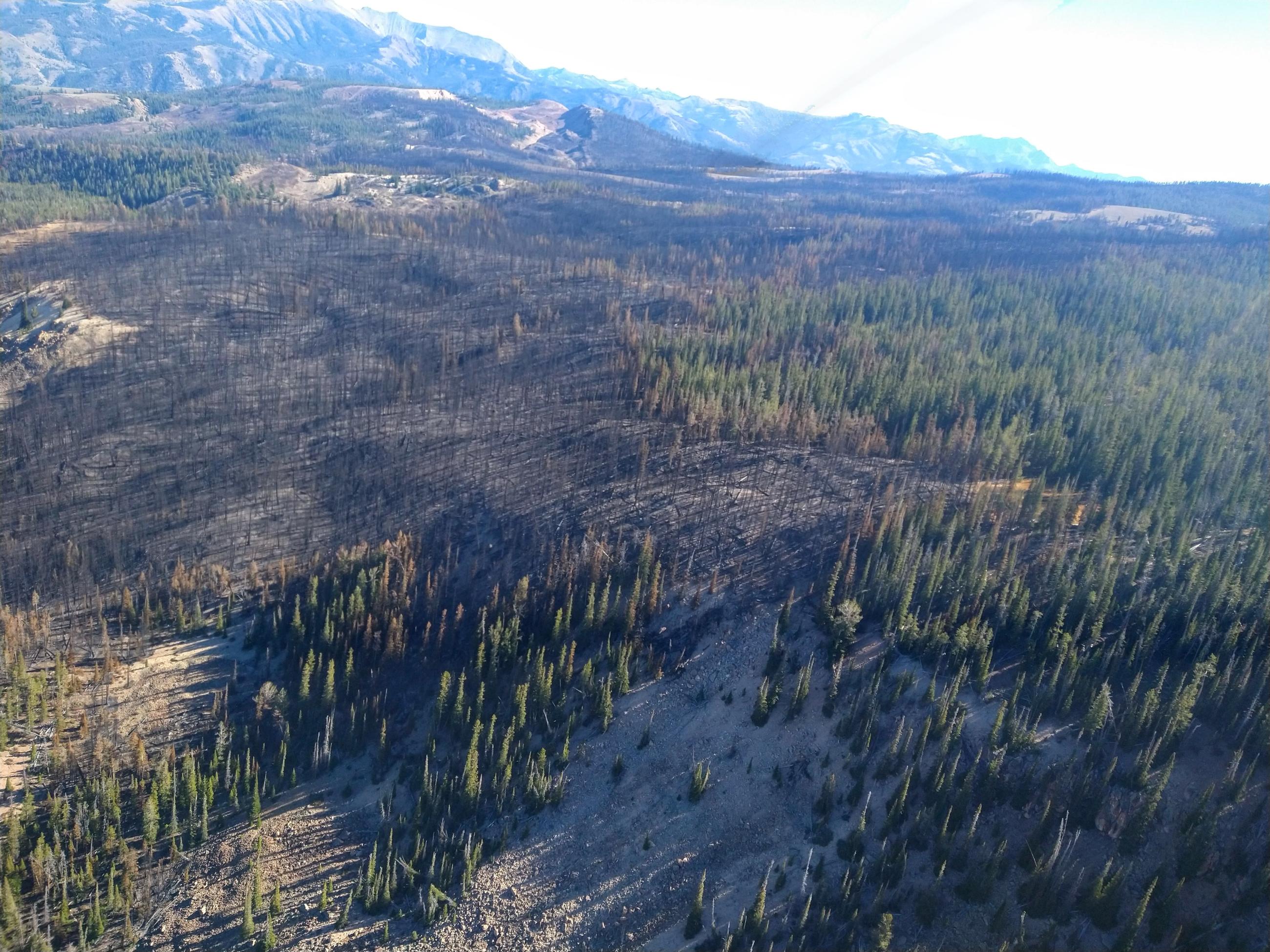 View of the Frog Fire from the north