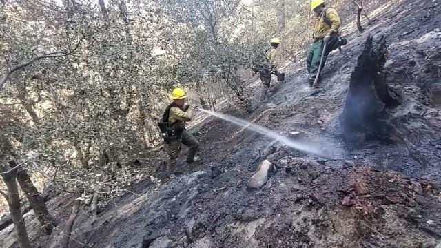 Firefighters battling Line Fire October 3, 2024. Showing firefighter using hose to extinguish fuels