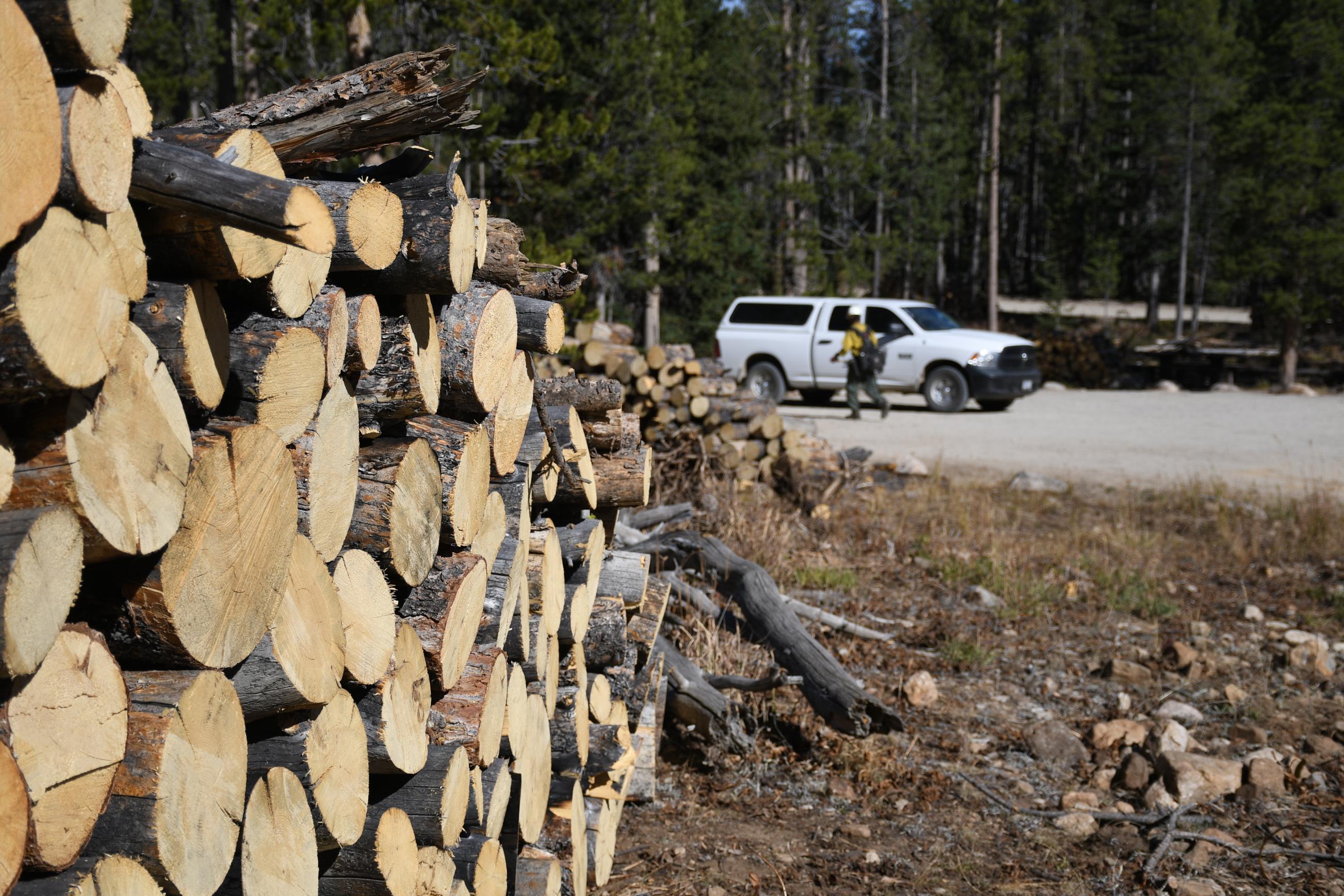 Wood pile near Iron Creek trailhead, 10/2/24