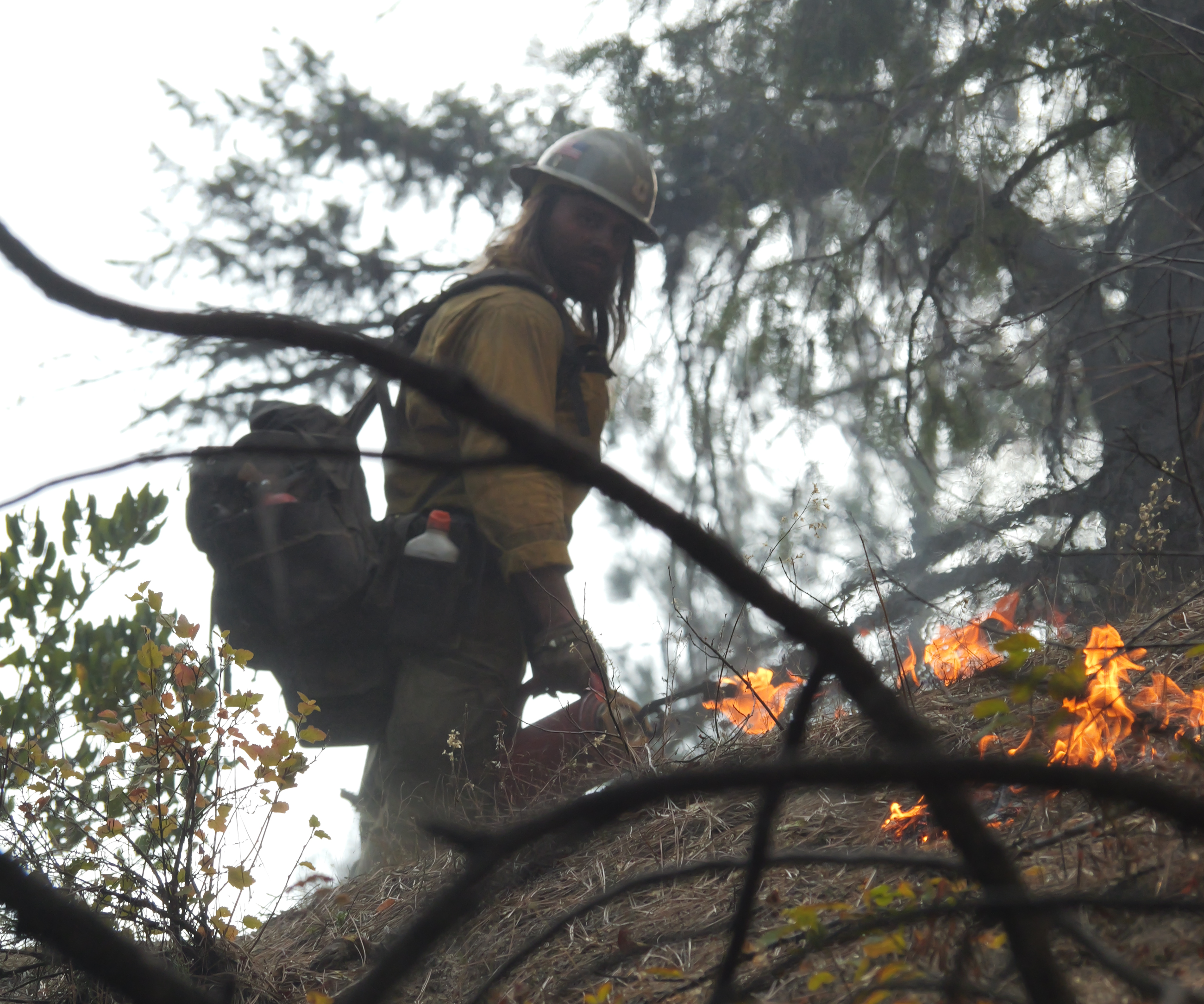 With branches in the foreground a firefighter in full protective gear (helmet, fire pack, tool) is seen near small flames on the forest floor.