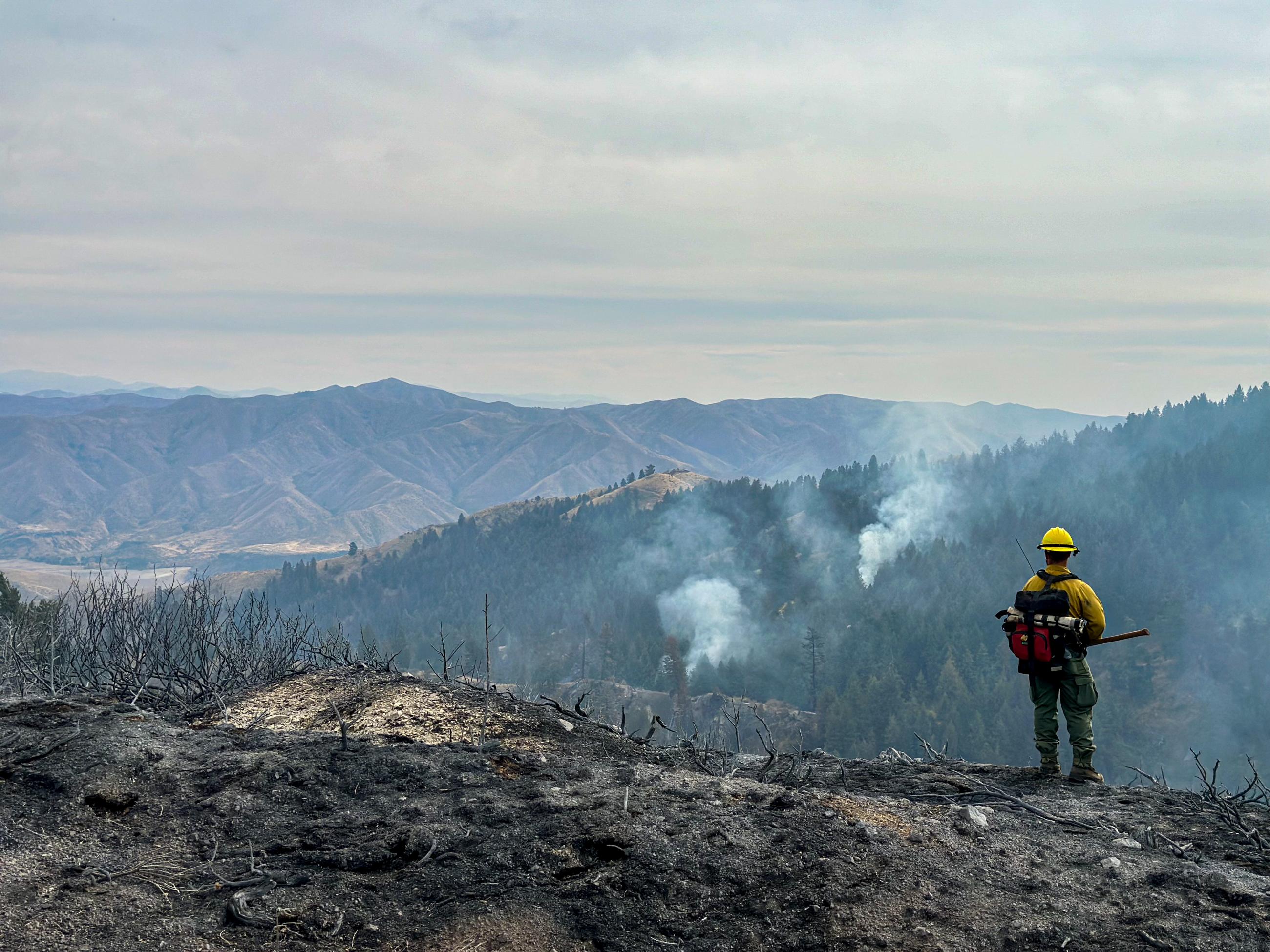 Firefighter on ridge looking down at smoke in timber.