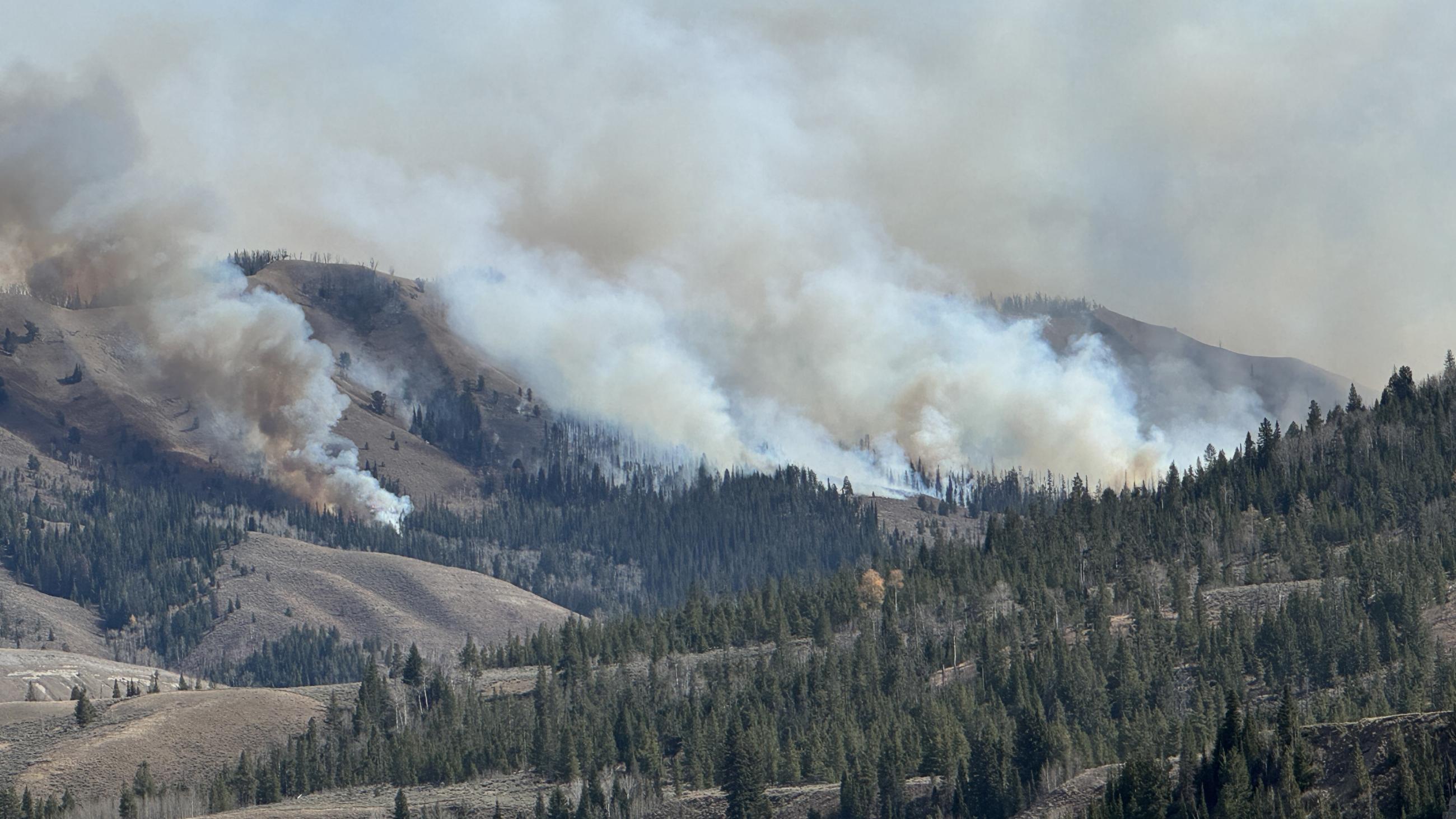 Fire backs down a slope toward a drainage known as Trail Creek. Backing fire is when the fire burns up fuel opposite to the primary wind direction.