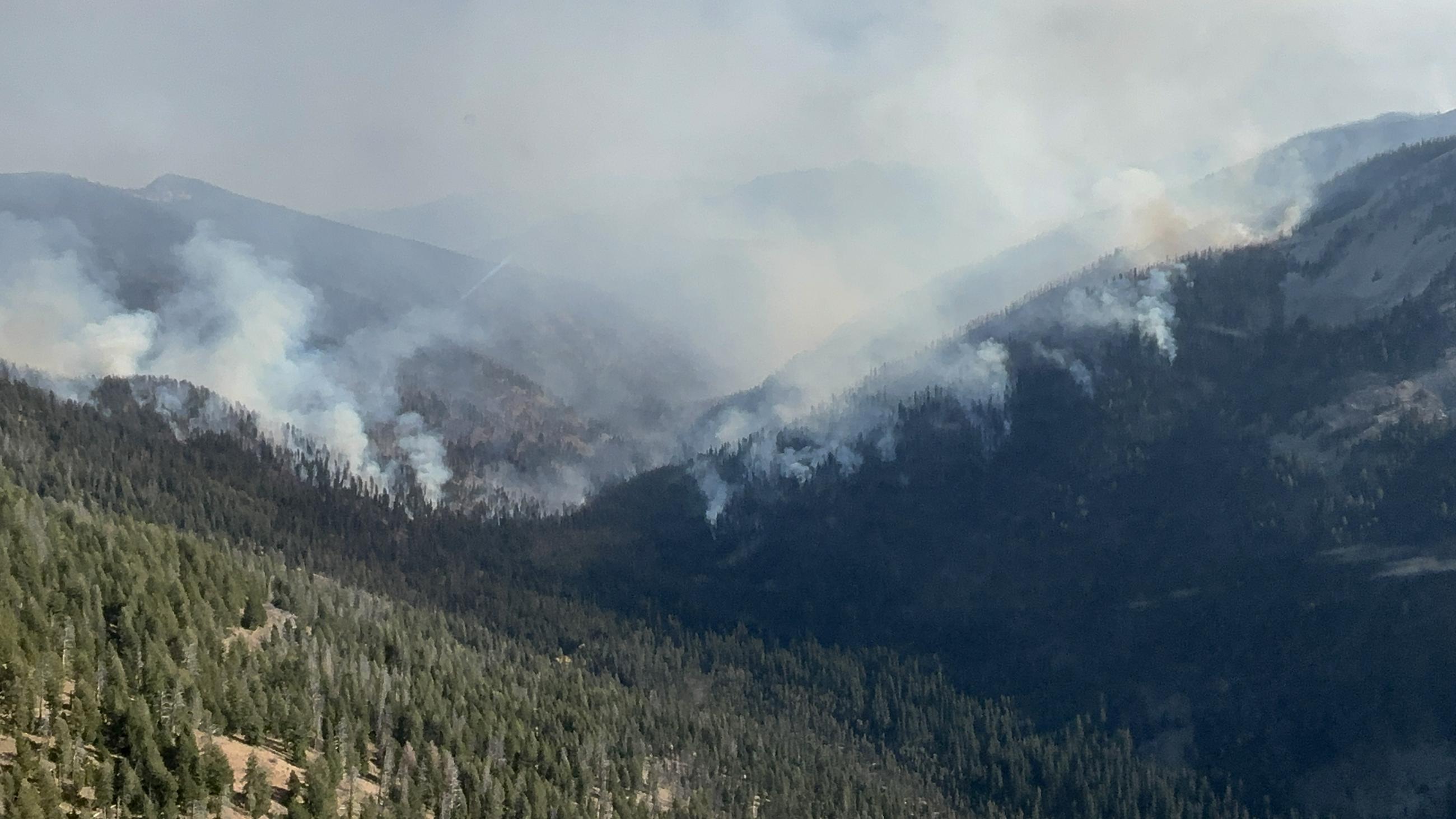 West flank of the Logan Fire at Smith Creek