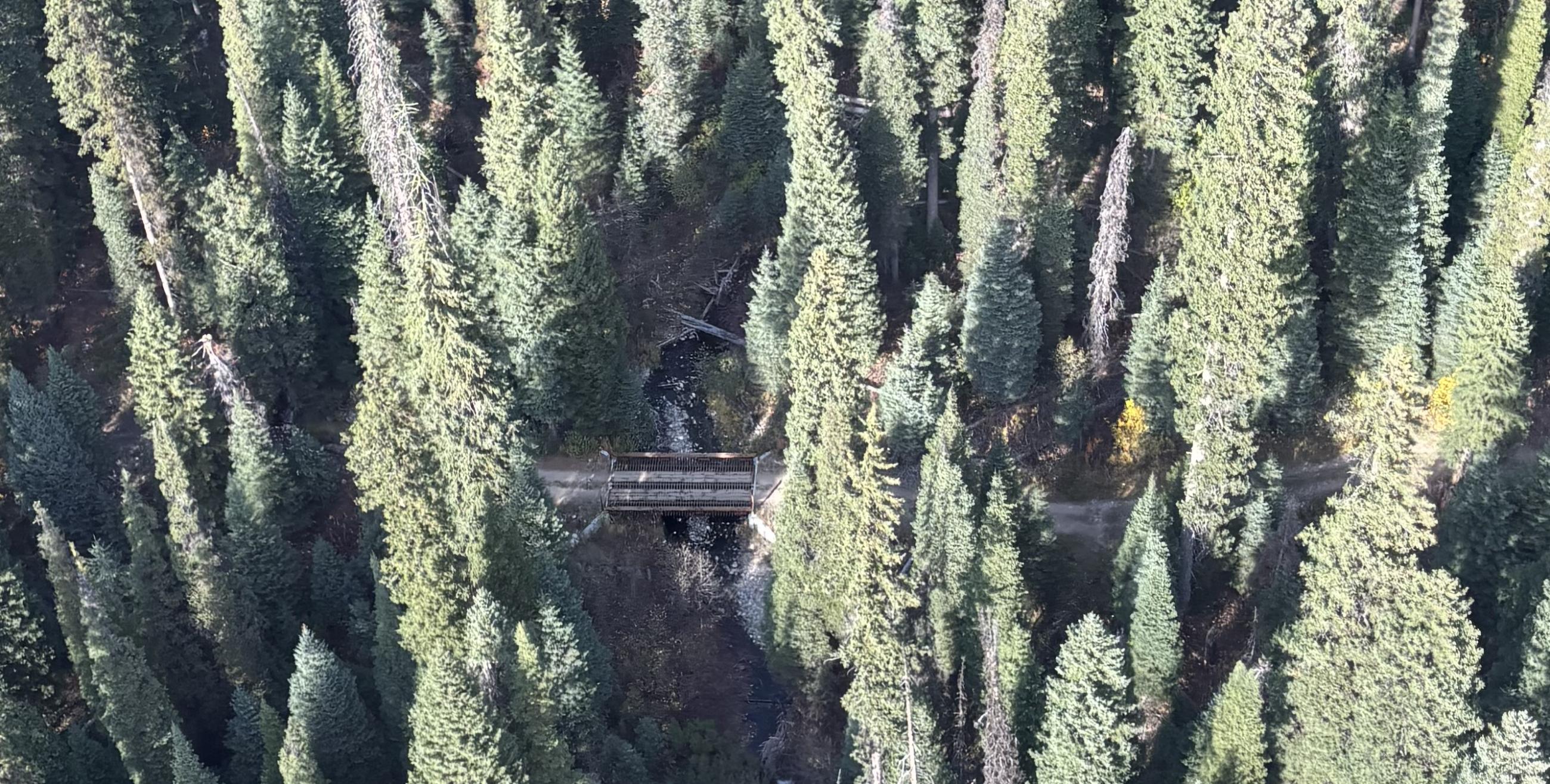 Bridge being assessed for any damage