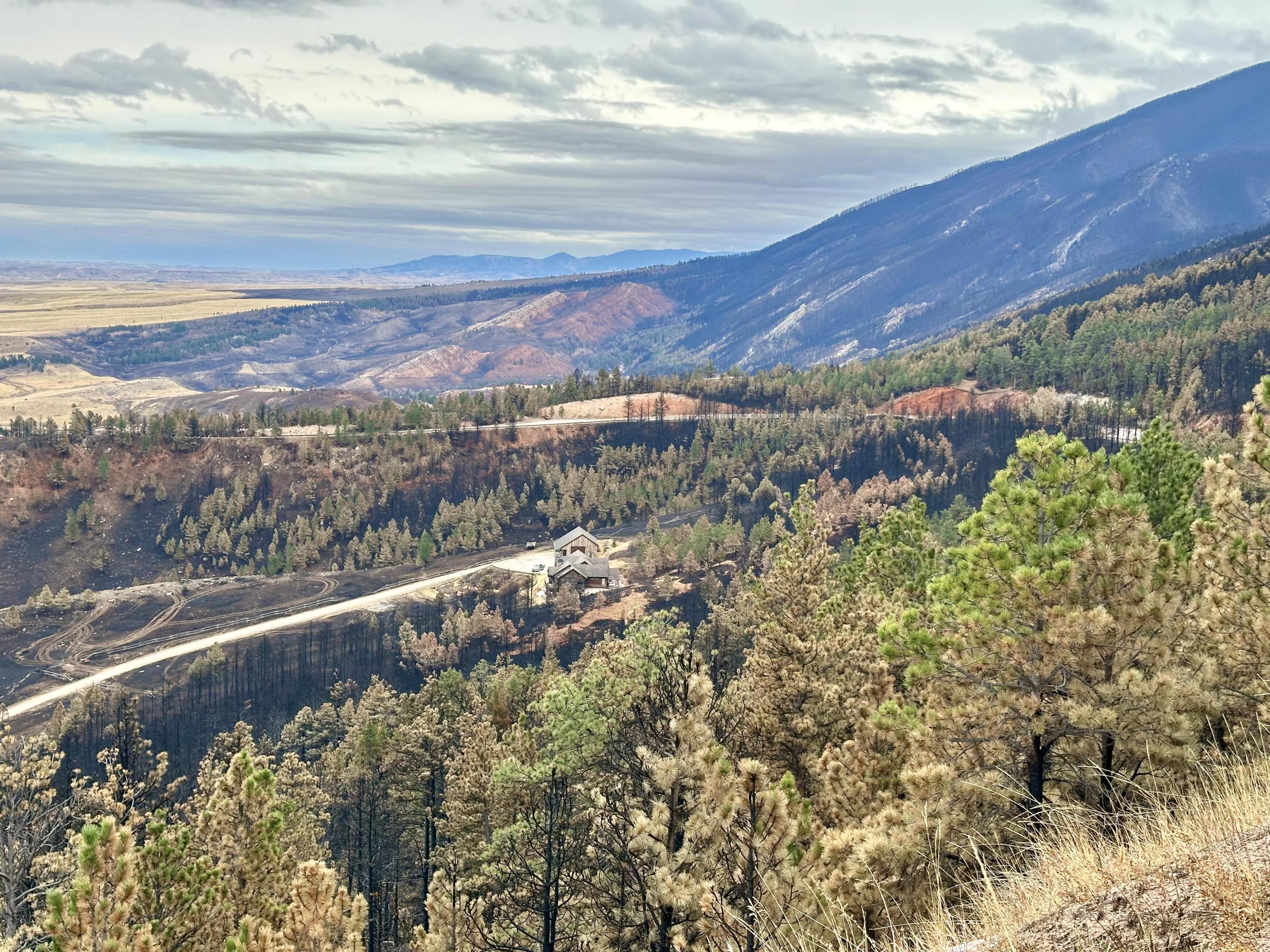 Burned trees and grass seen from Hwy 14