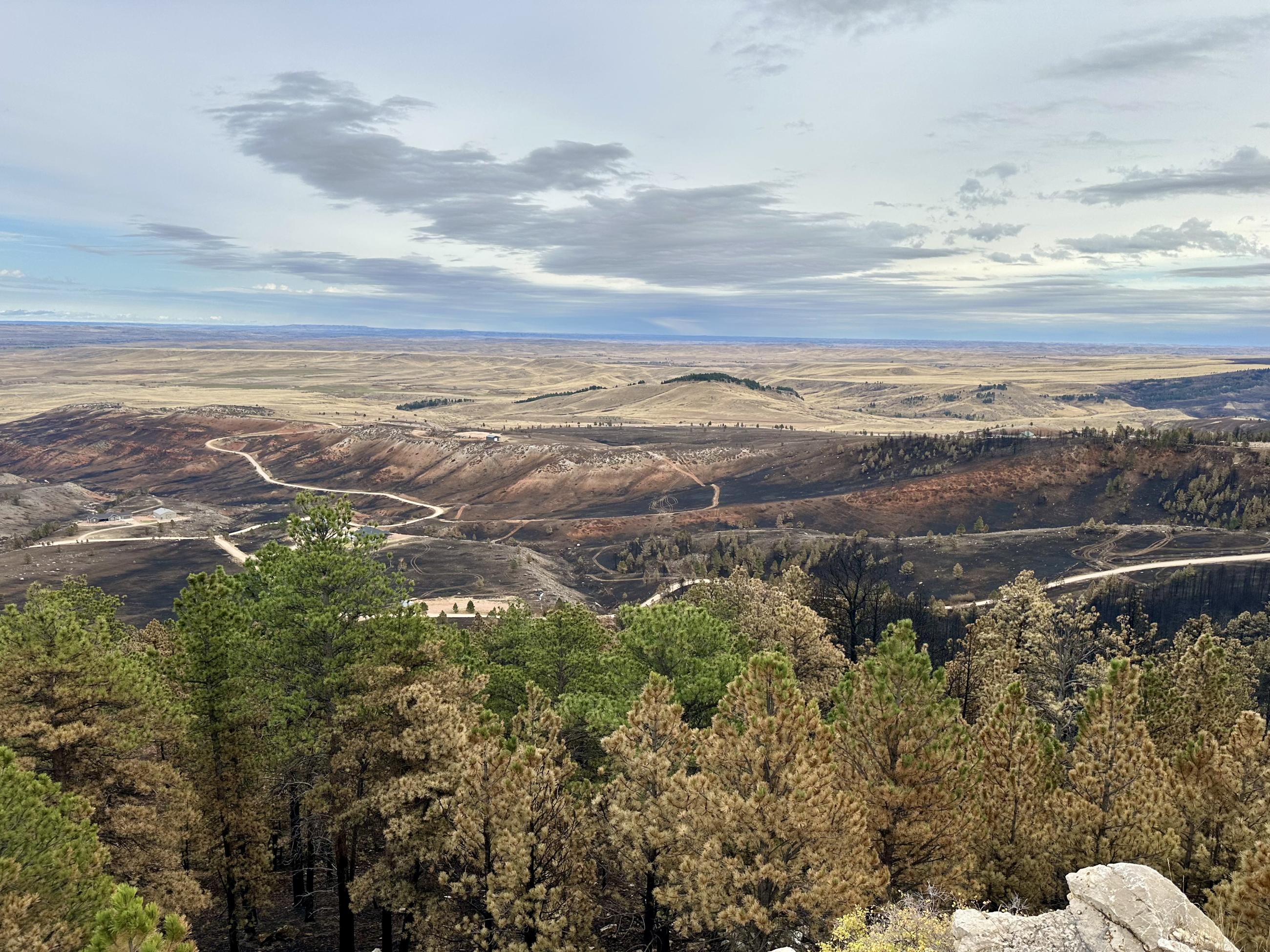 Burned trees and grass seen from a highpoint along Hwy 14