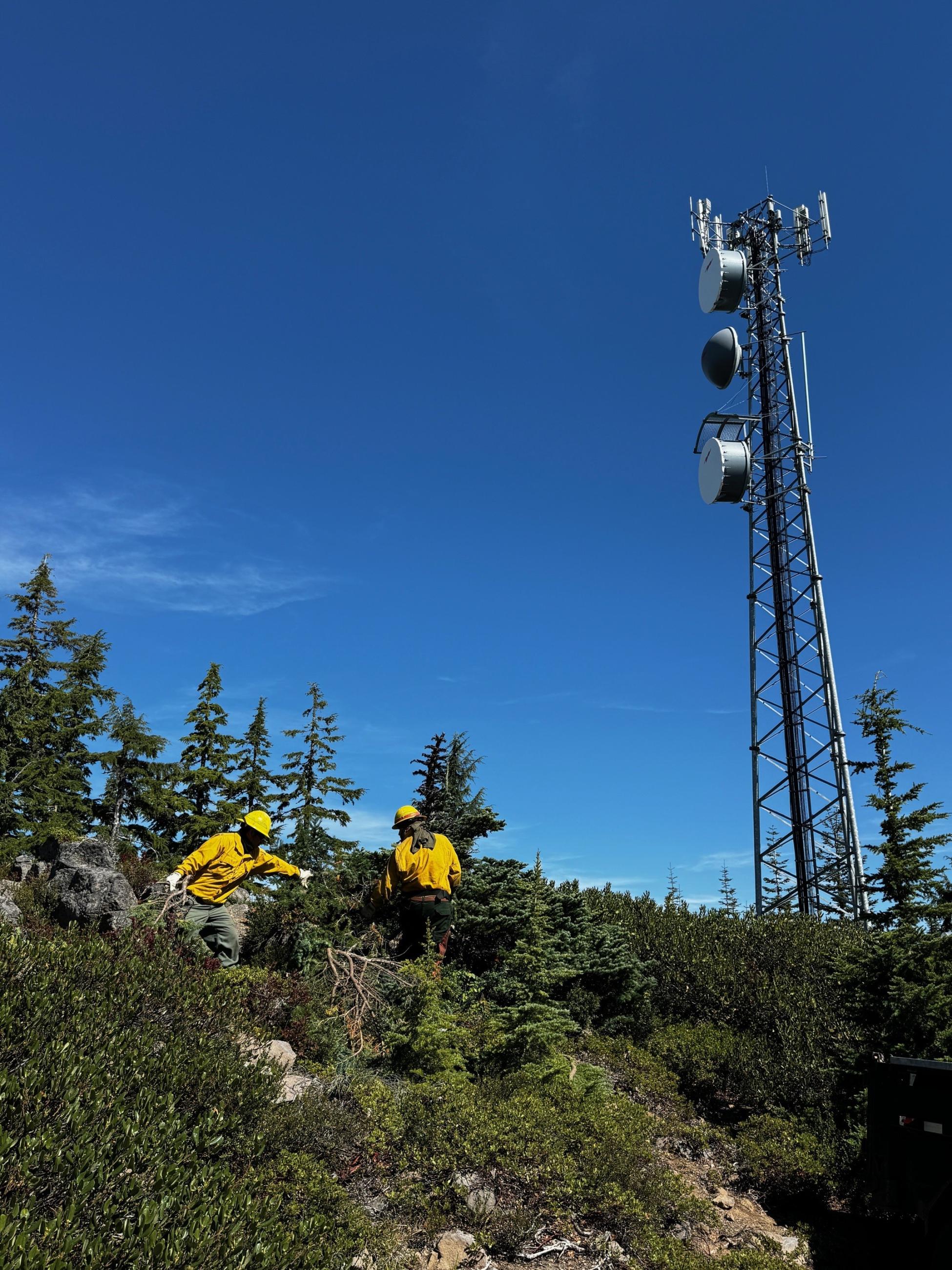 Fire crews working to clear vegetation around a communications tower and equipment
