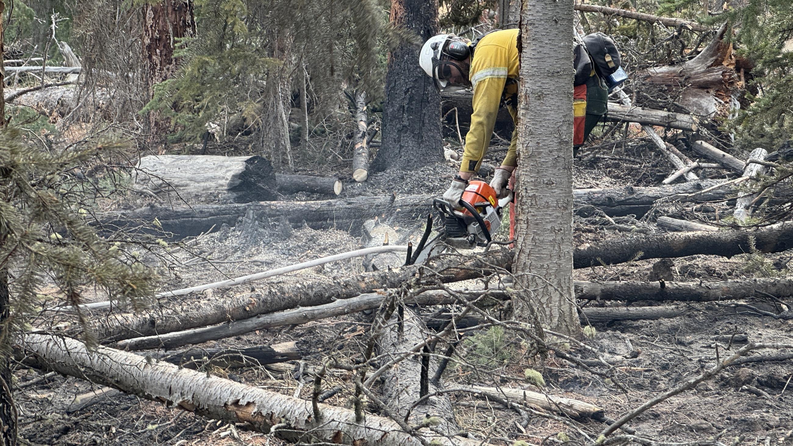 Chainsaw Work on Pack Trail Fire 