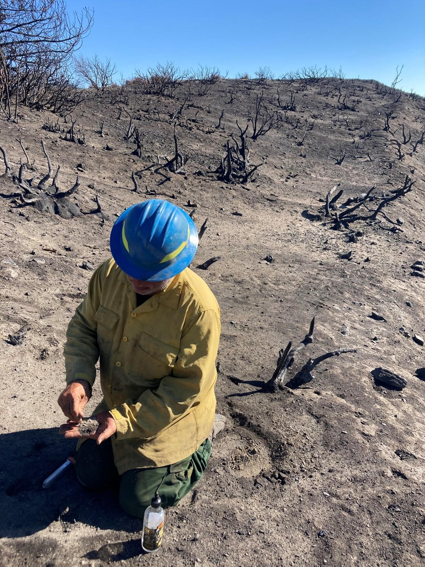 Image showing BAER Soil Scientist Eric Nicita examines burned soil structure within the wildfire burned area