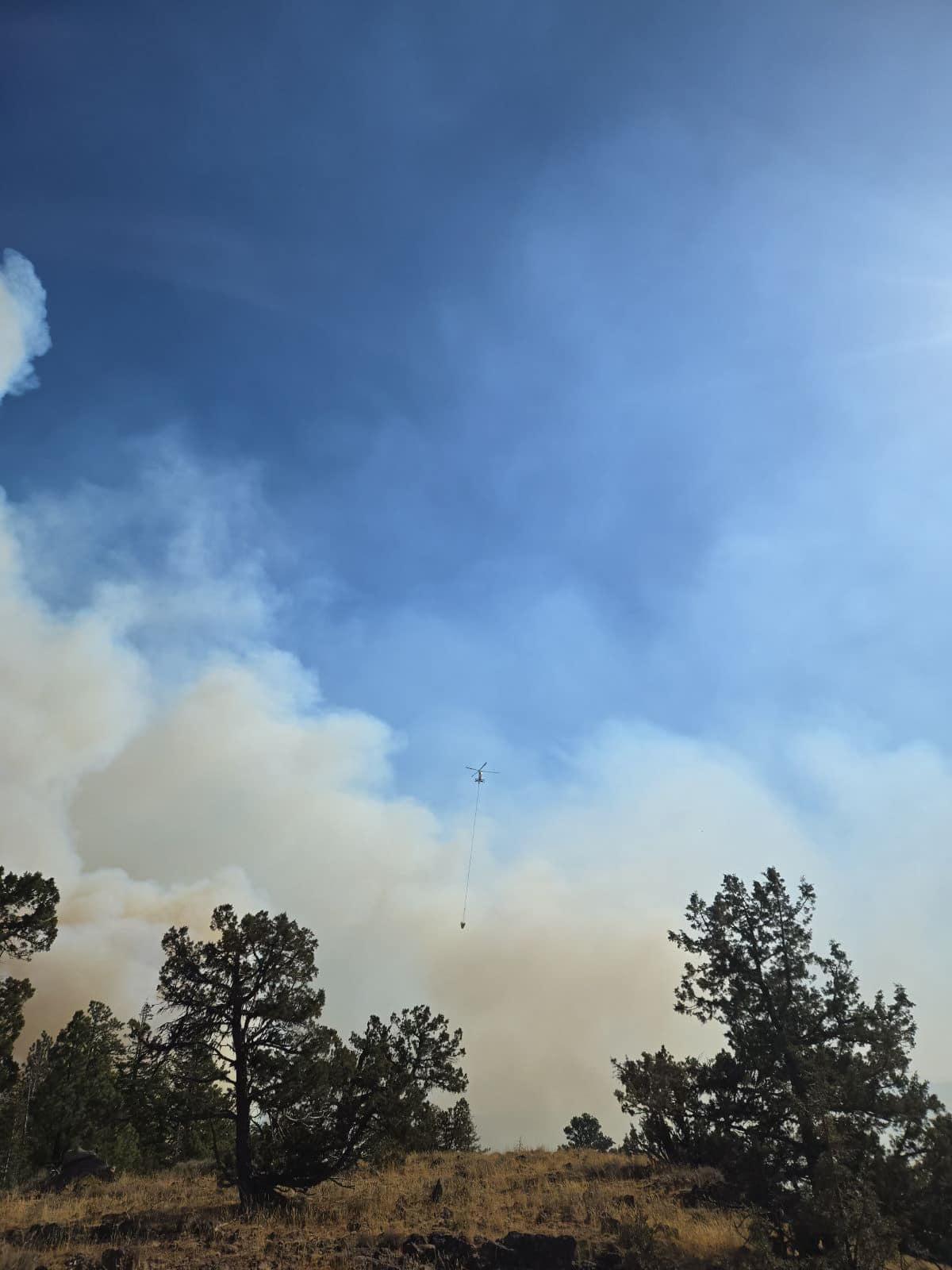 A helicopter is flying towards the Rail Ridge smoke column to conduct a water drop, with ponderosa pine in the foreground. 