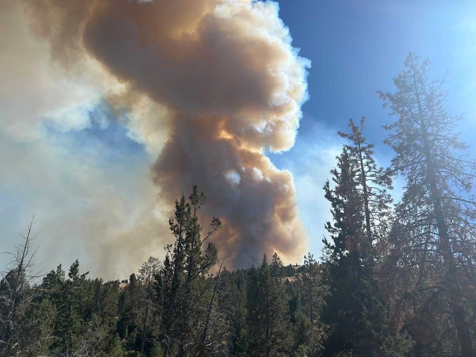 A dark smoke bellows behind trees on a mountain