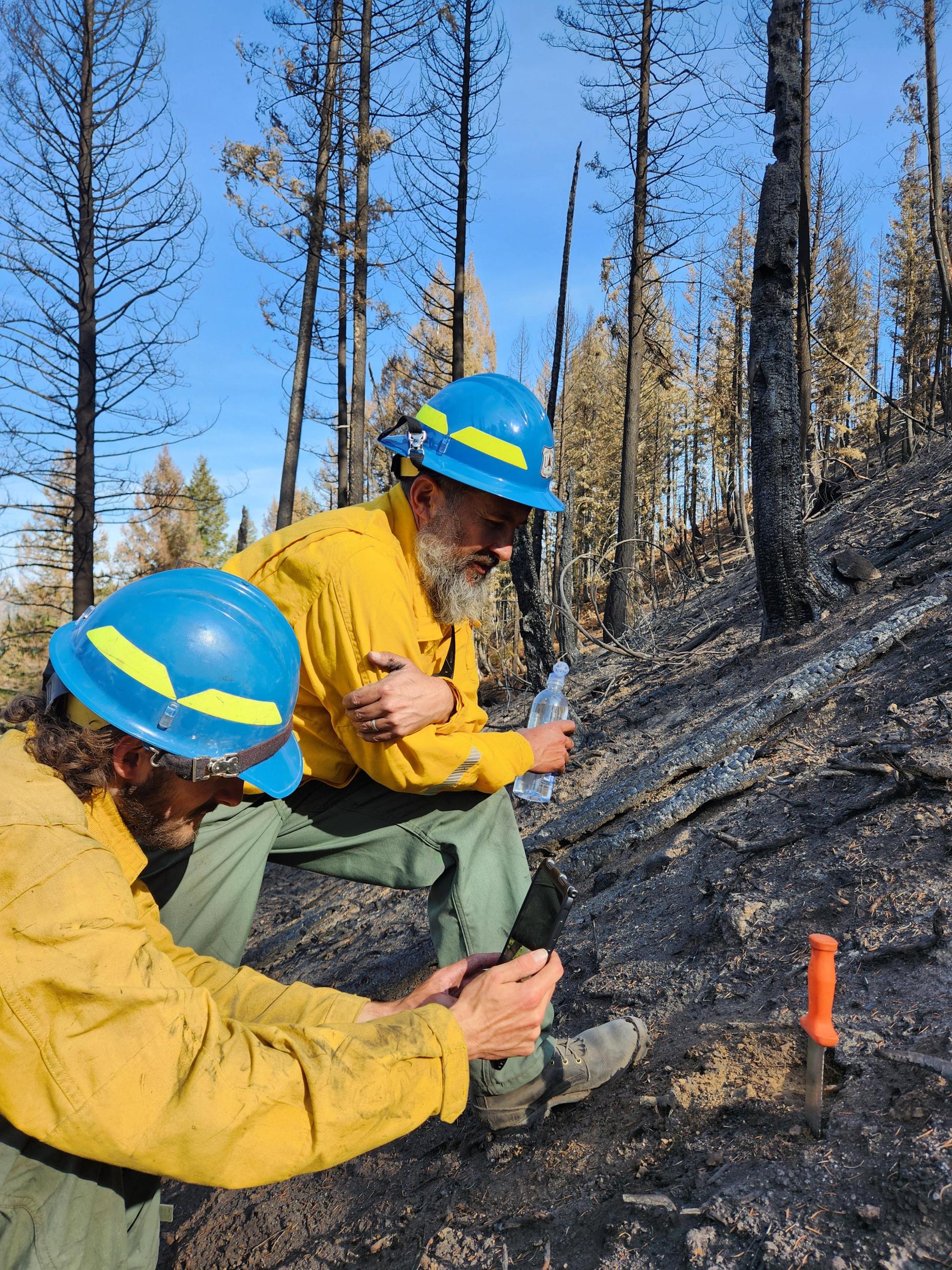 Image showing BAER Specialists Ryan Sparhawk & Lucas Roy Assessing Burn Area within Nellie Fire Perimeter