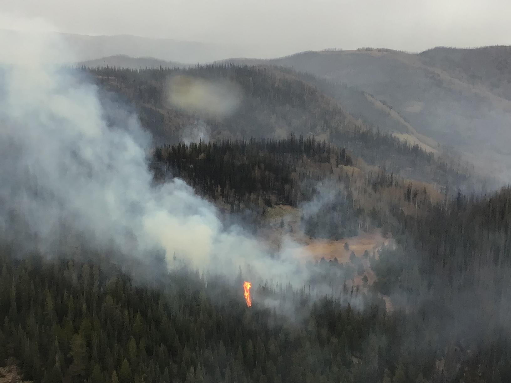 Flame is positioned in the center of the image with smoke around, burning in pine trees on a mountain side.