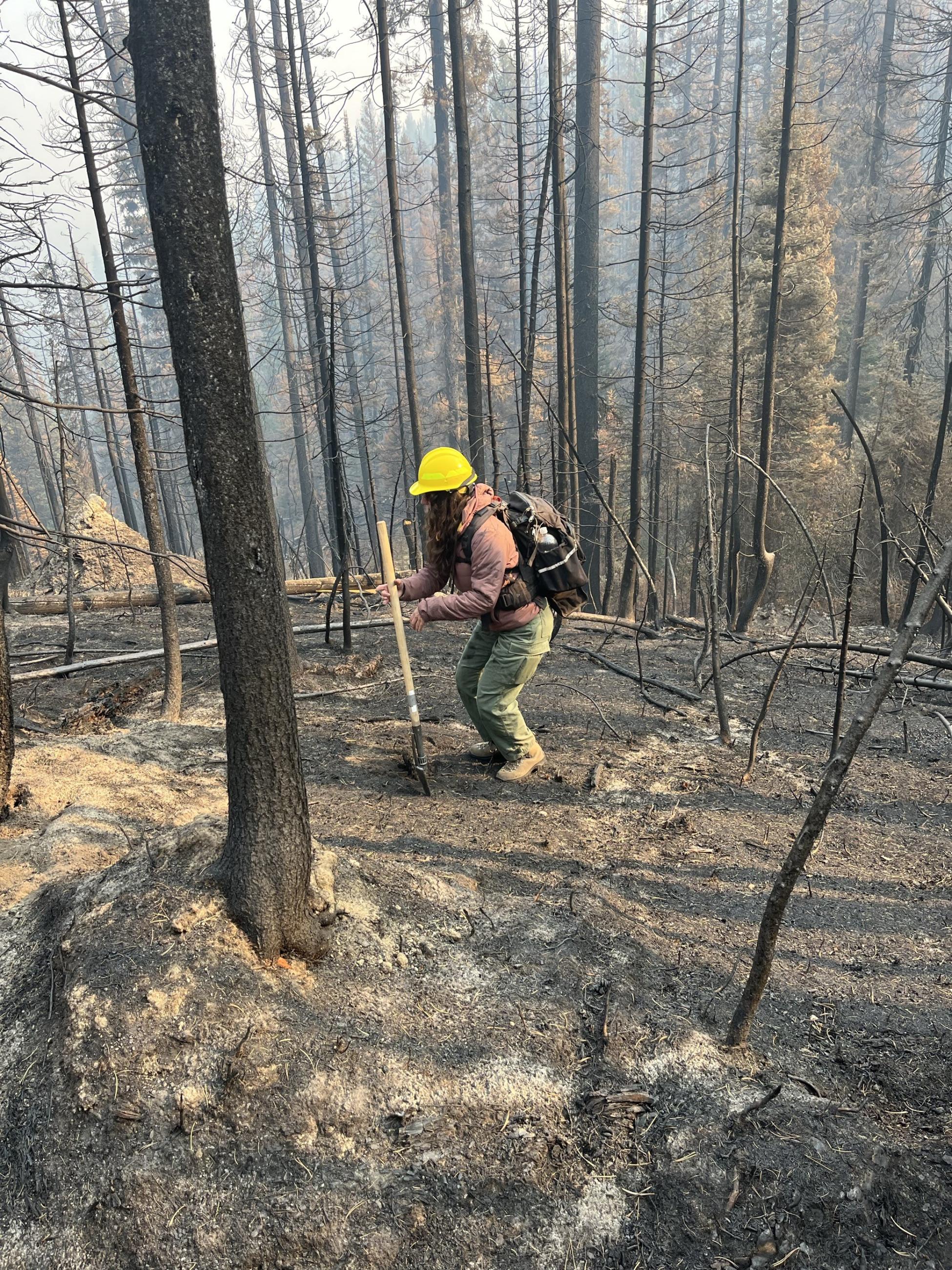 Image showing BAER Soil Scientist Assessing Post-Fire Soil Burn Severity within the Snag Fire perimeter