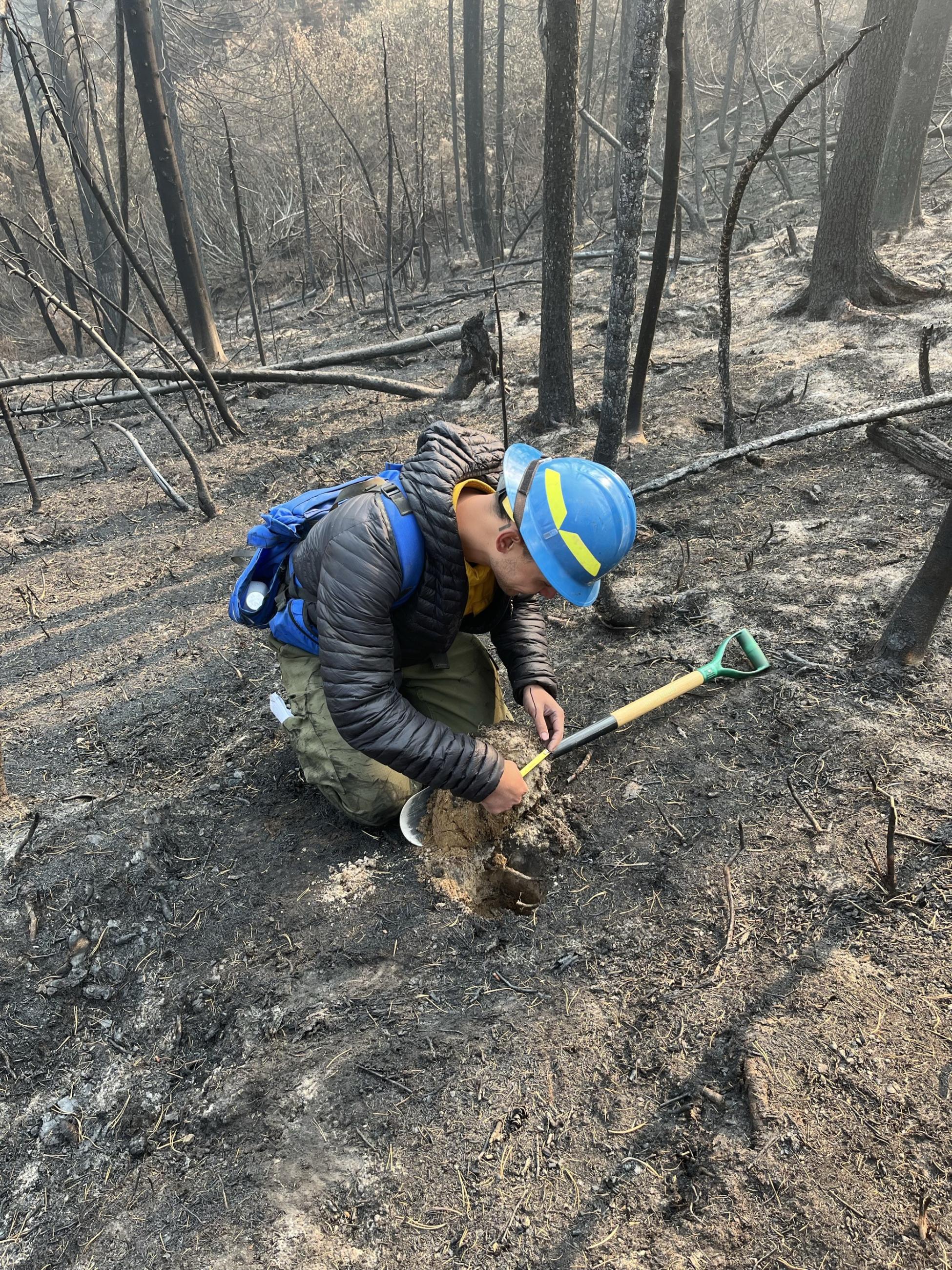 Image showing BAER Soil Scientist Assessing Post-Fire Soil Burn Severity within the Snag Fire perimeter