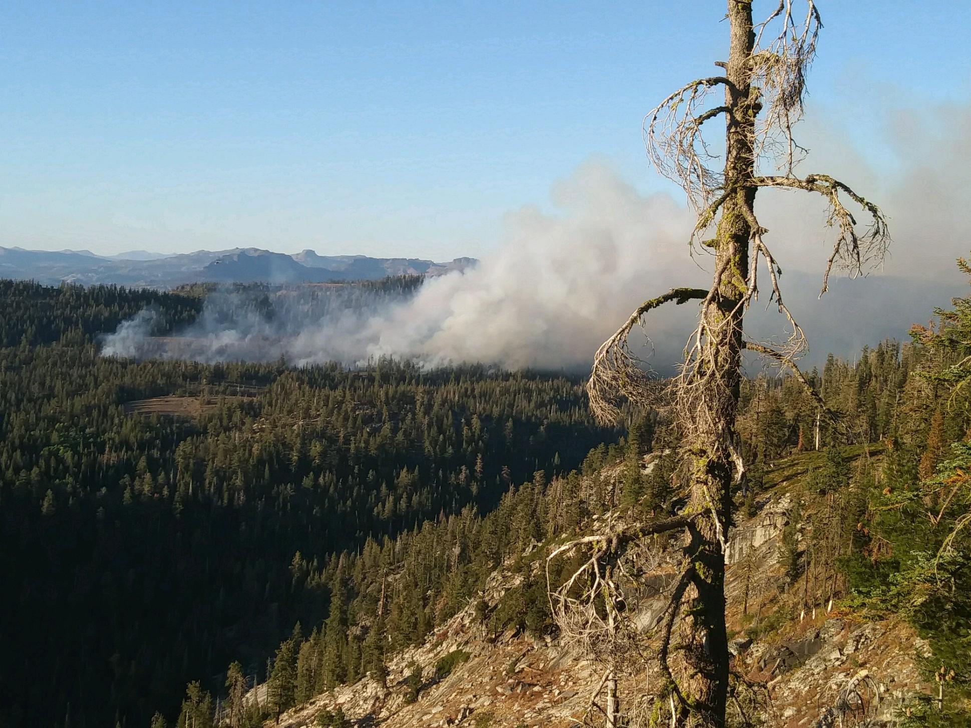 SHOE FIRE in SHASTA COUNTY  UPDATE 10/12/324 TNVT8793%5B1%5D.JPG?VersionId=faFlpkJF3.krNEgUZt